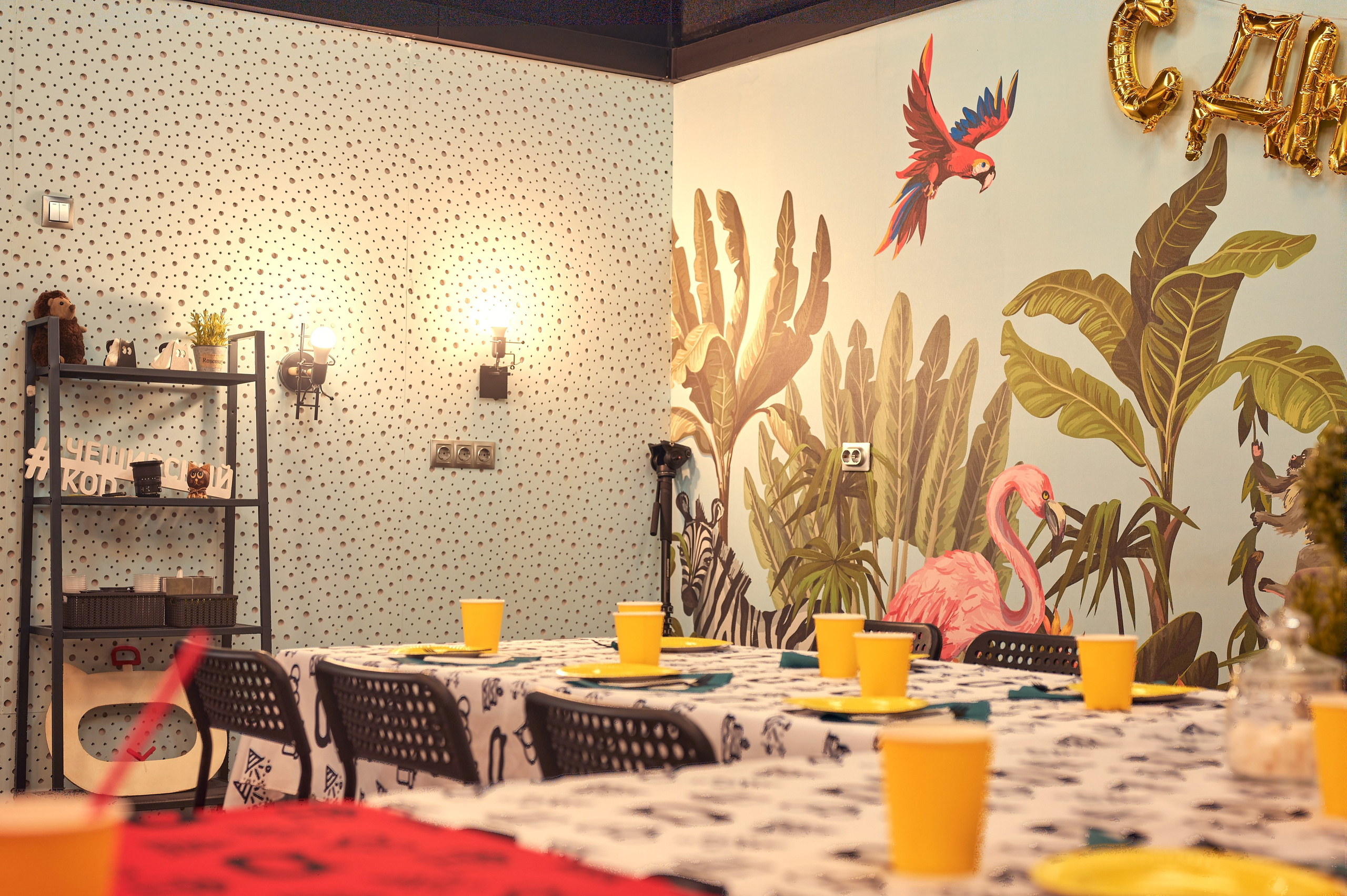 Чеширский Коd — 5 локаций. Фотограф Яковлев Роман — Красноярск