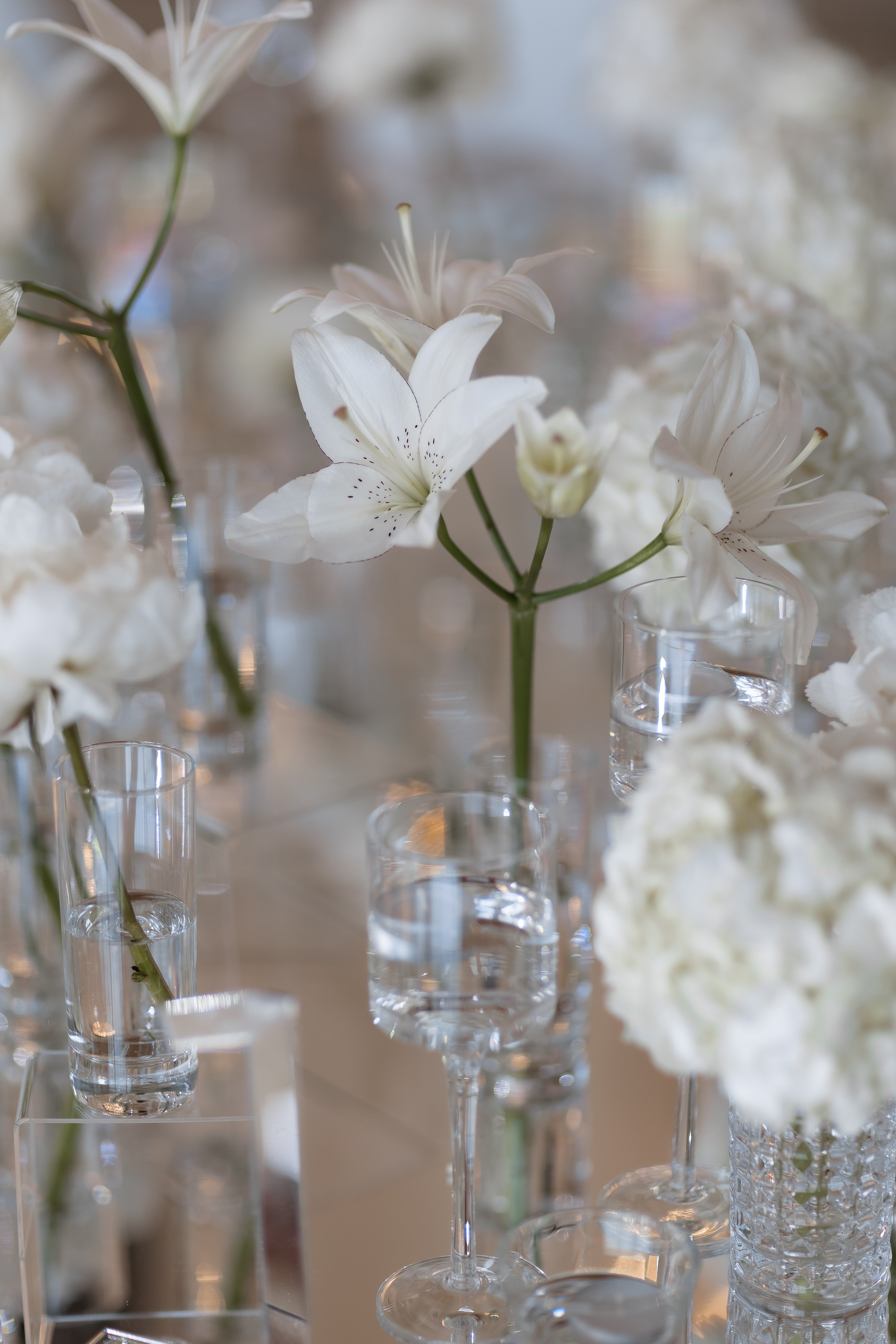 Владислав & Юлия. Свадебный фотограф Виктория Карпова