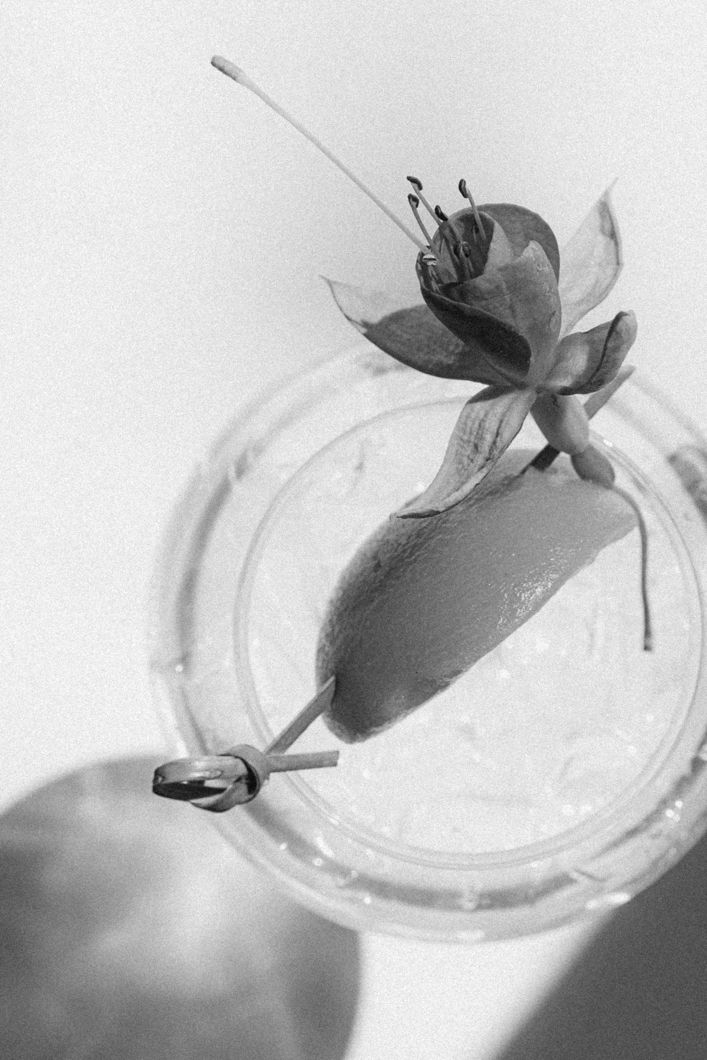 Портфолио контент фото для ресторанов. Контент фотограф в Москве Ник Фрост