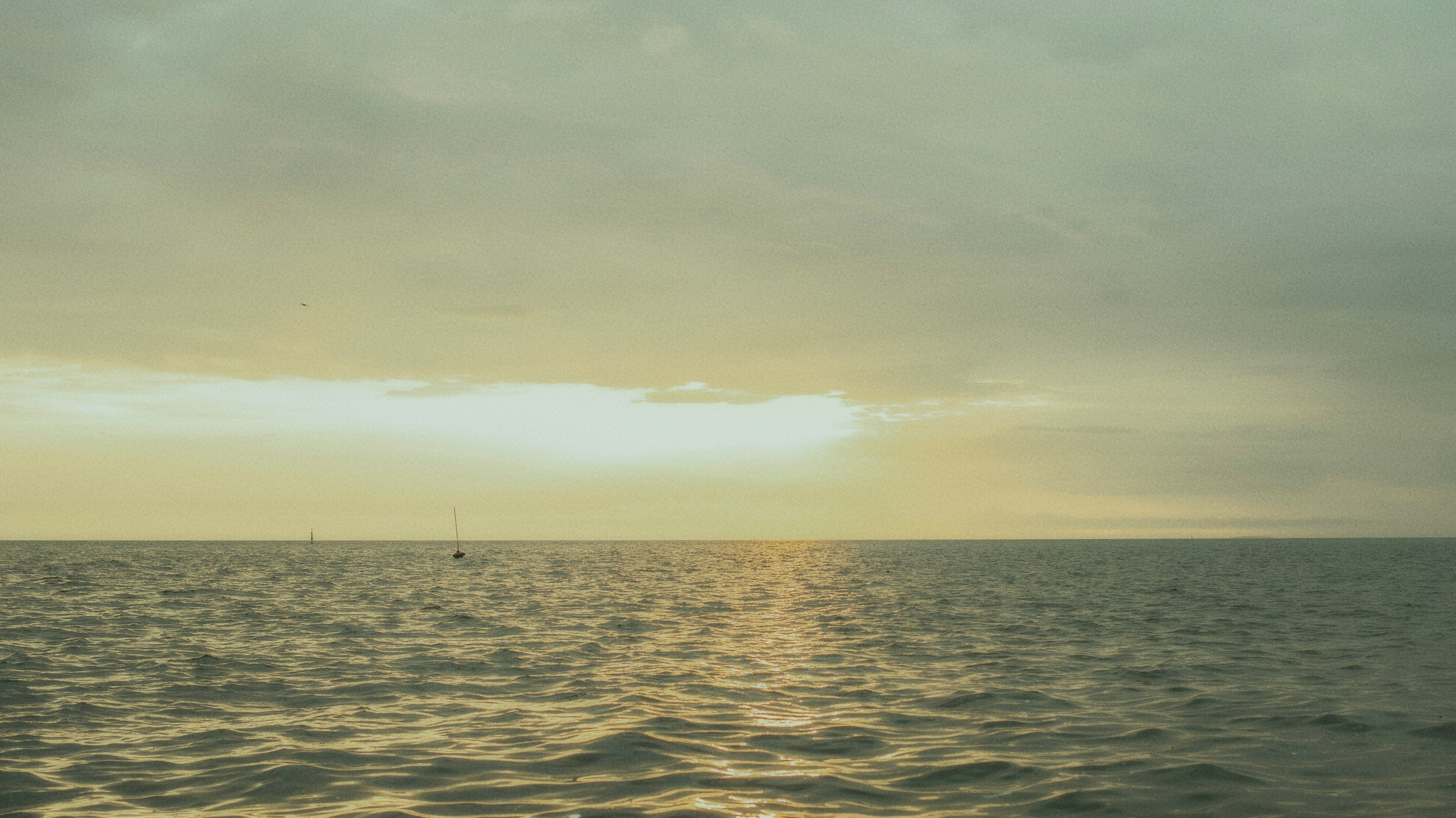 Лучи света. Фотограф и Видеограф Артур Гимаев