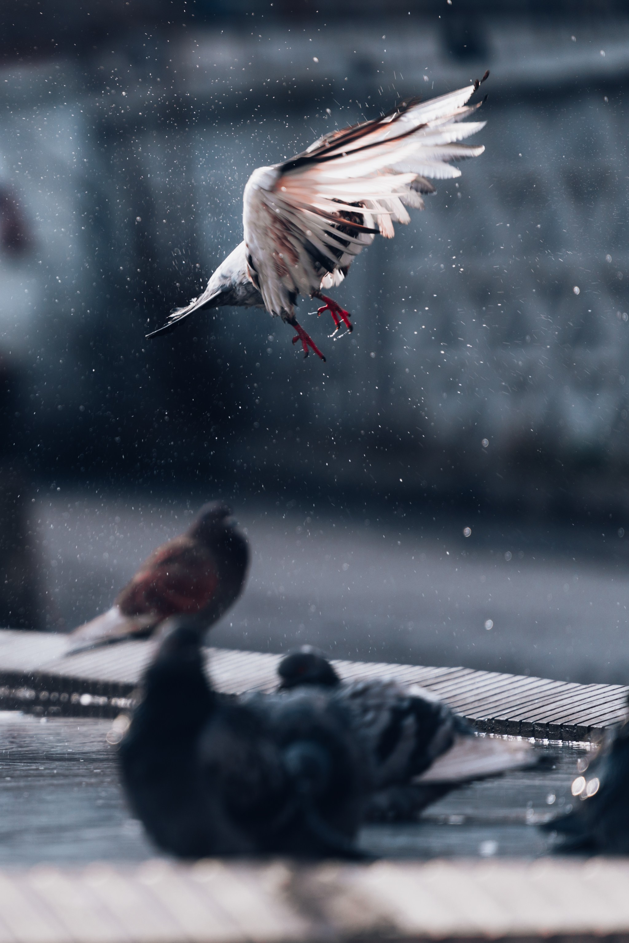 Алматы, Декабрь 2024