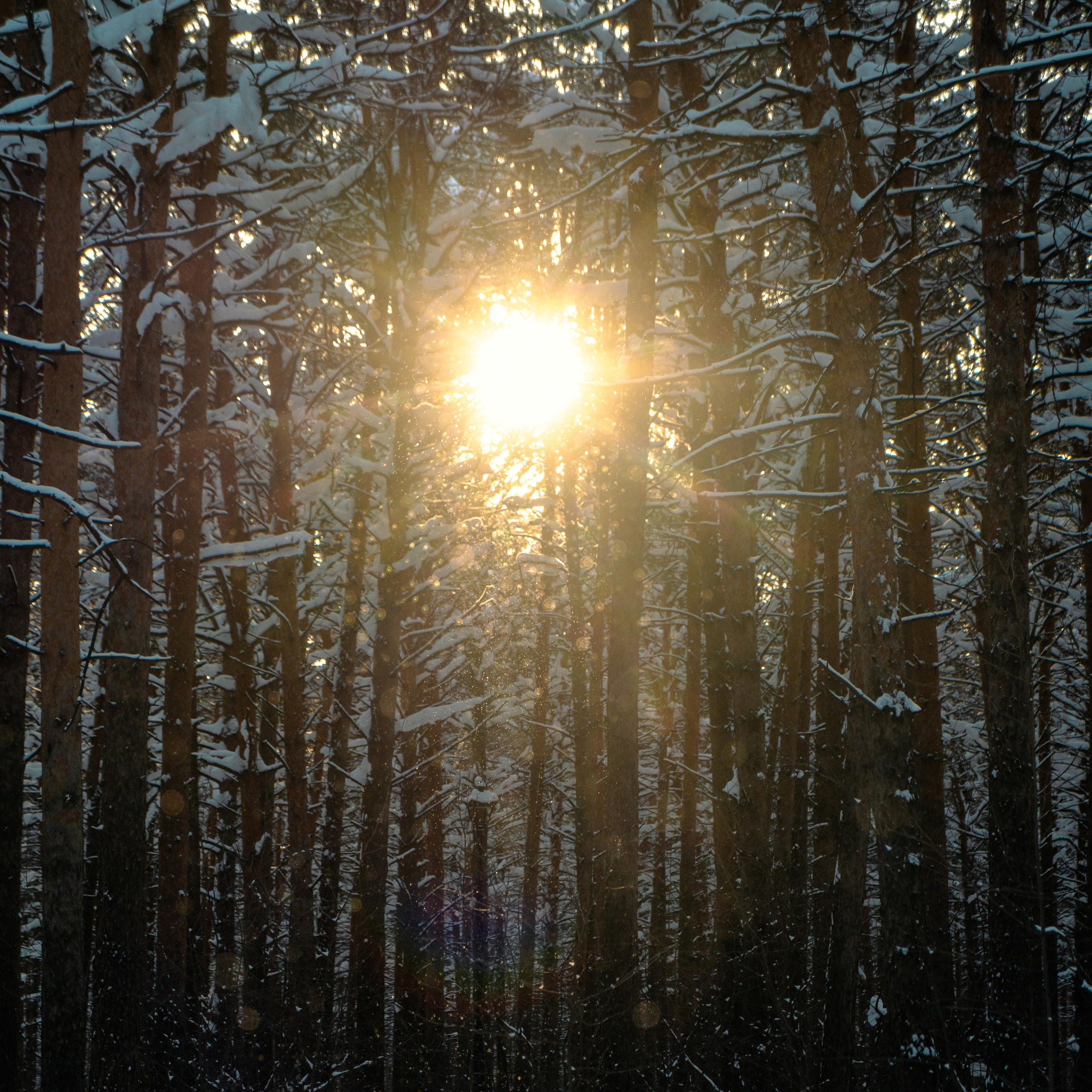 Сургут, Март 2024