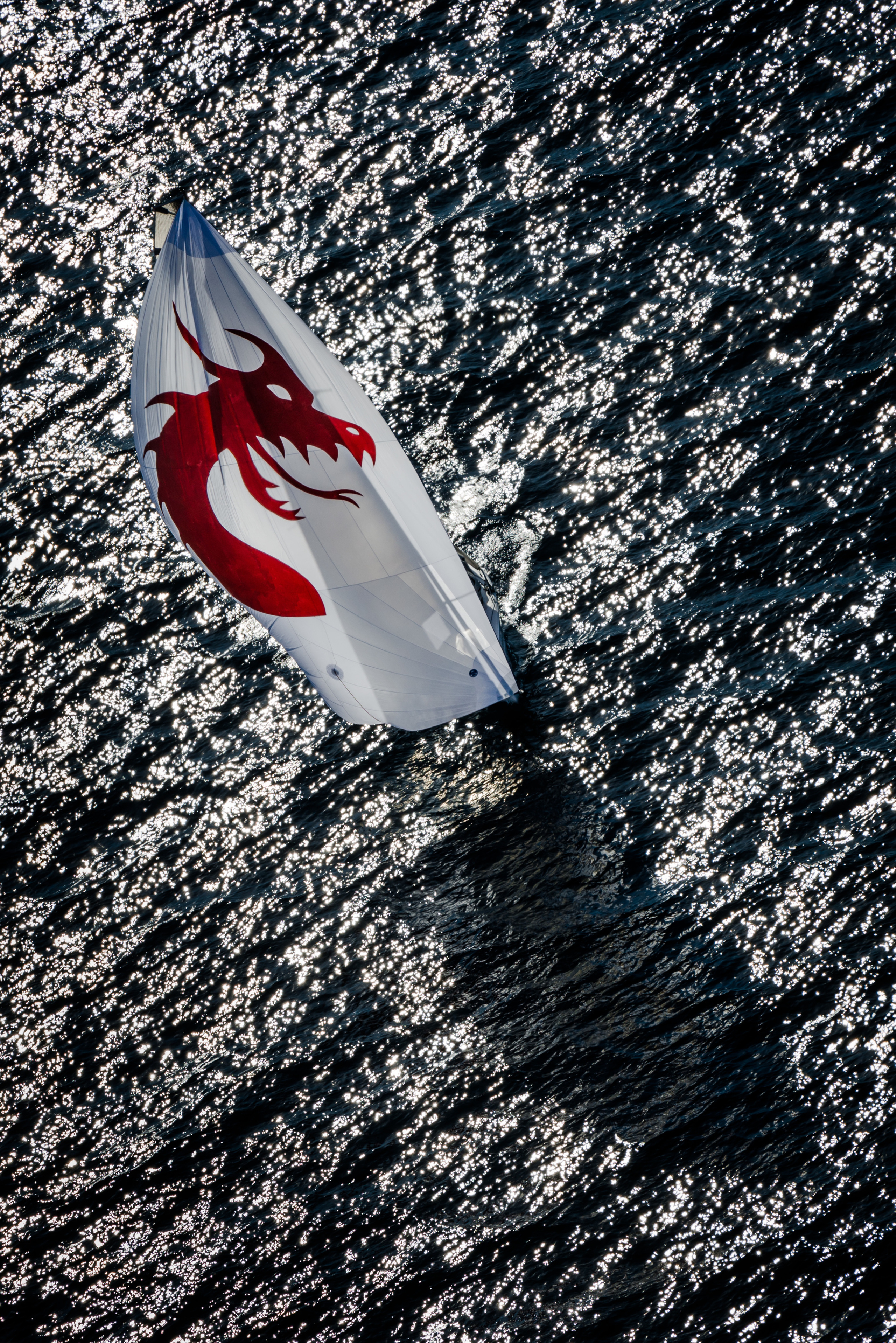 MELGES 20. Sailing Photographer Marina Semenova