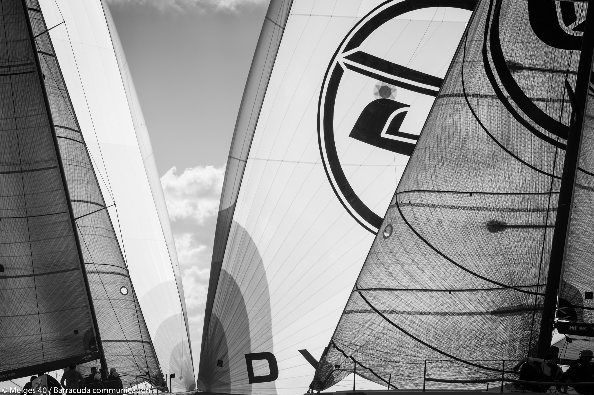 MELGES 40. Sailing Photographer Marina Semenova