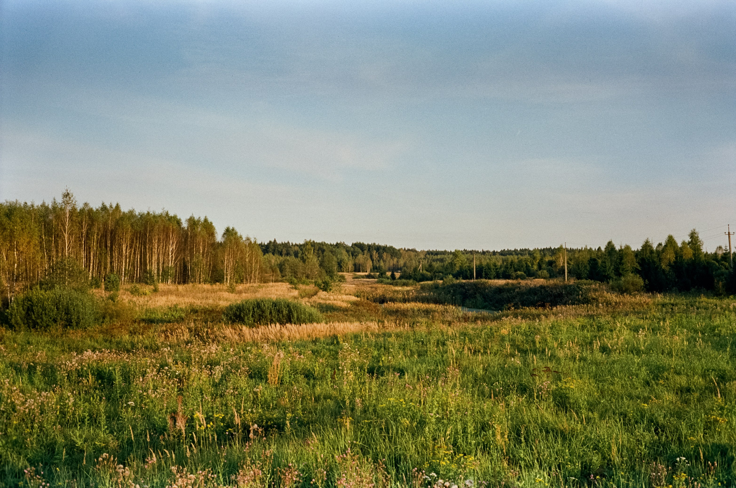 Minolta Hi-Matic 7SII примеры фотографий