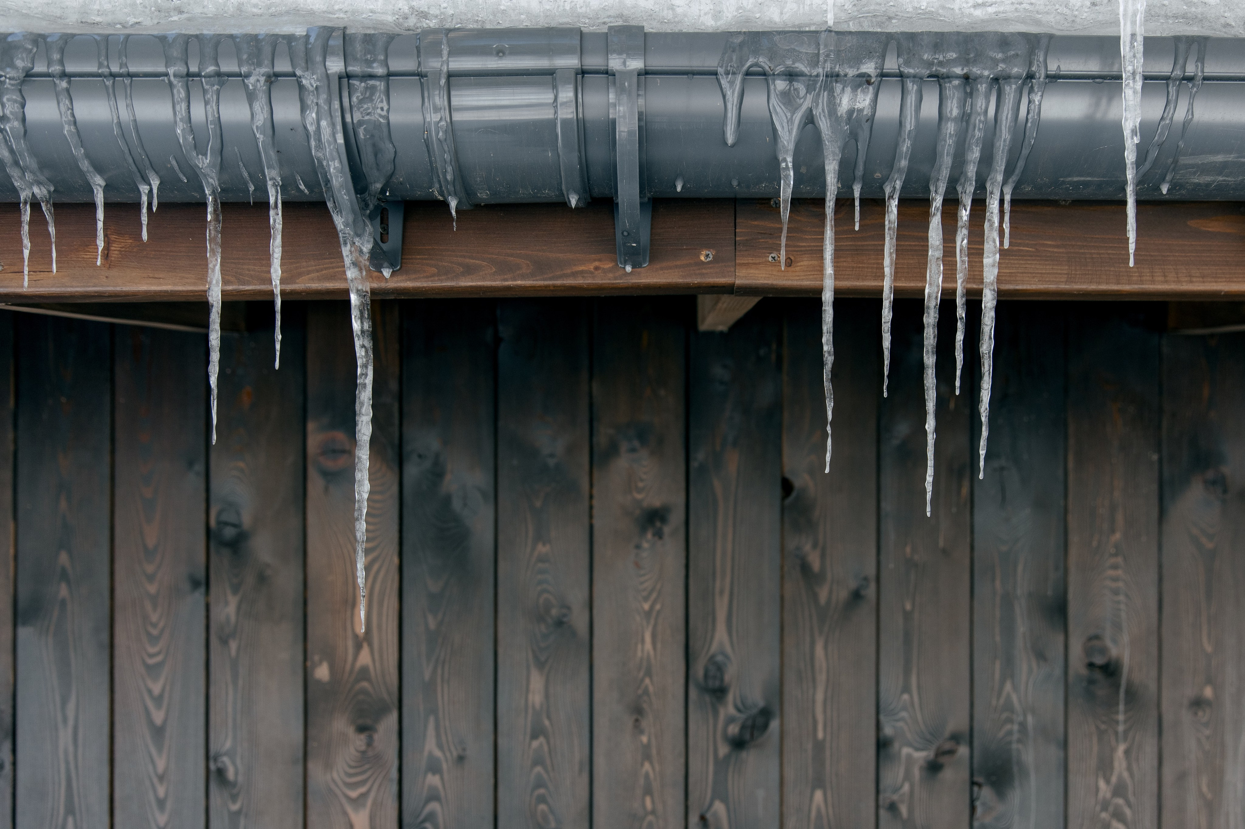 ДЕНЬ ДОЖДЕНИЯ ЕКАТЕРИНЫ. Фотограф в Красноярске