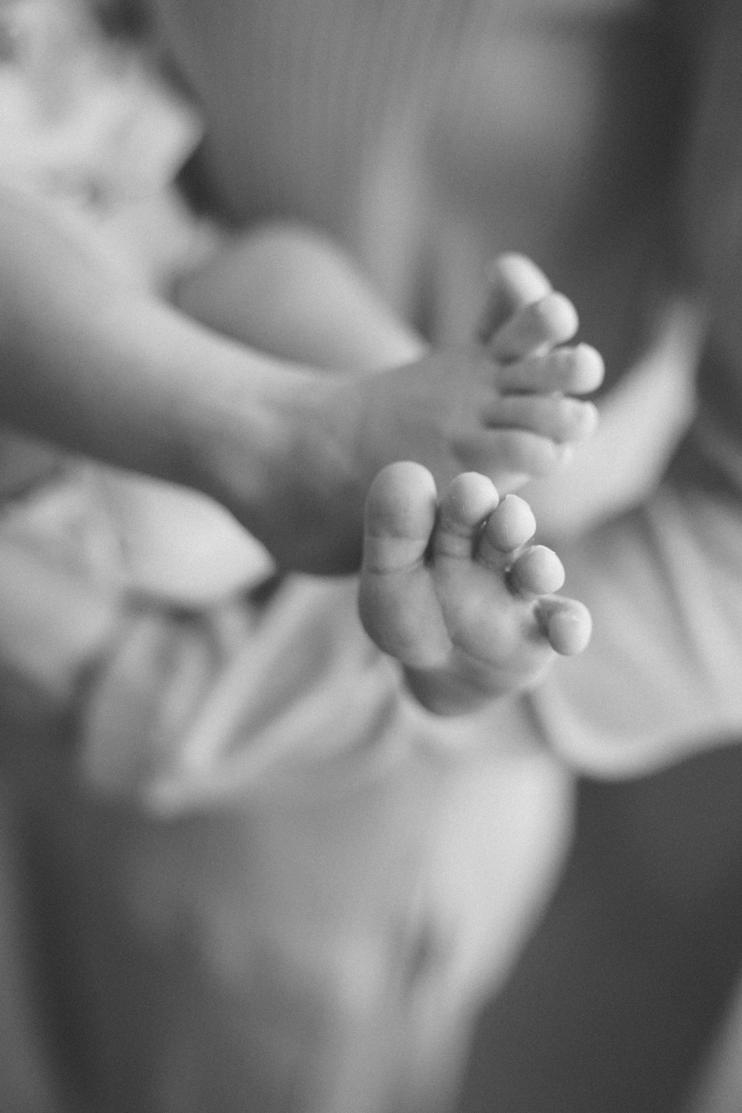 Домашняя фотосессия с младенцем. Семейный и женский фотограф в Краснодаре Анастасия Приймак