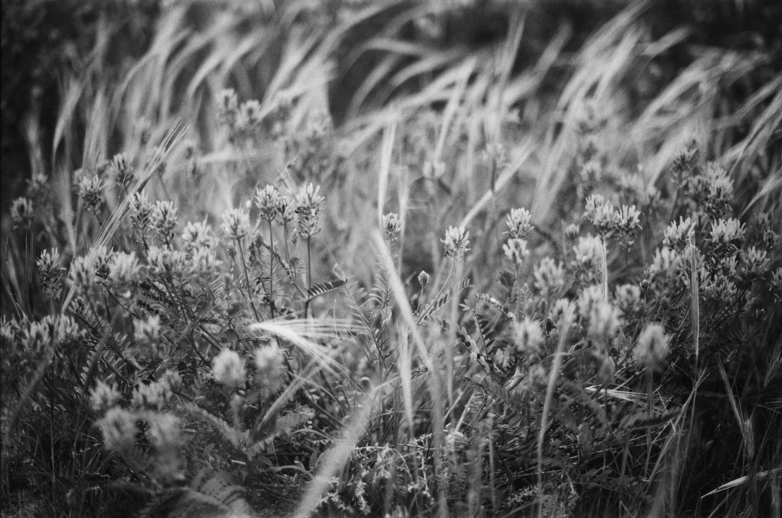 Move me // ukraine, crimea II. EVER EXPOSED