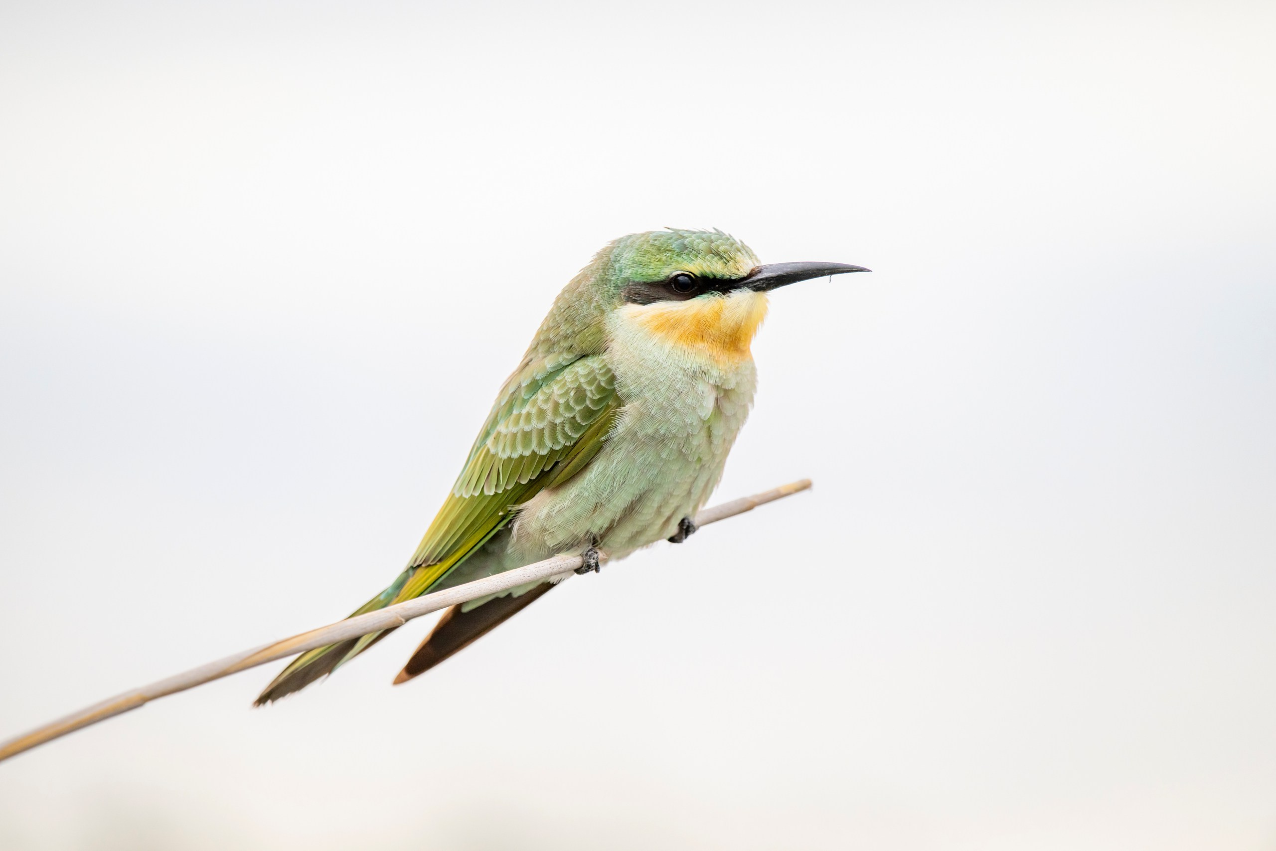 Природа Дагестана, сентябрь 2024. Foto-Zuev фотография как искусство