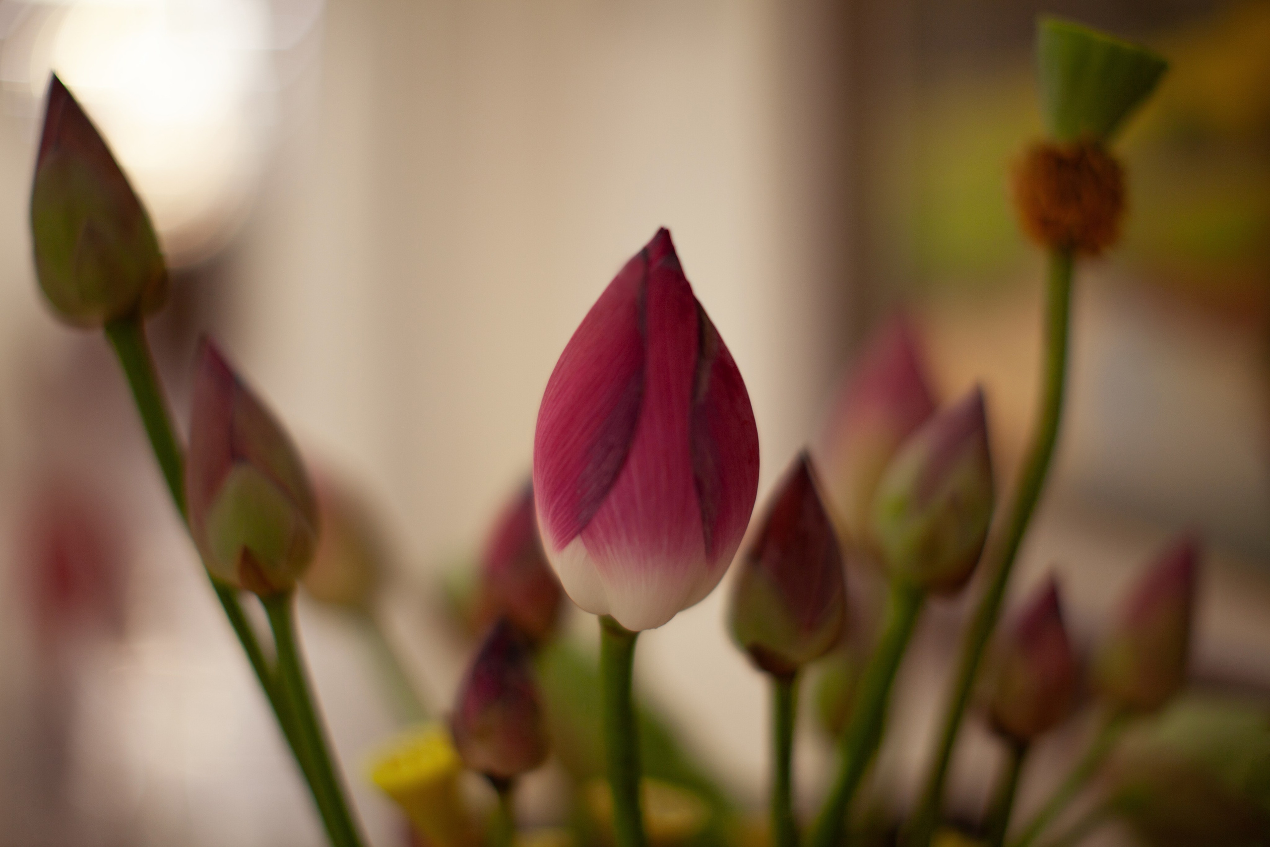 Вьетнам. Vinpearl Long Beach. Мой фотомир