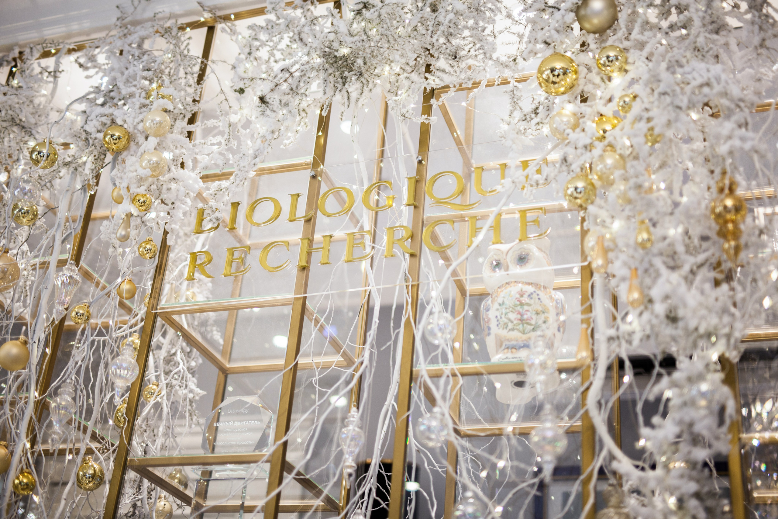 Посольство красоты 2023. Ксения Почтарь. Декоратор и флорист, город Владивосток