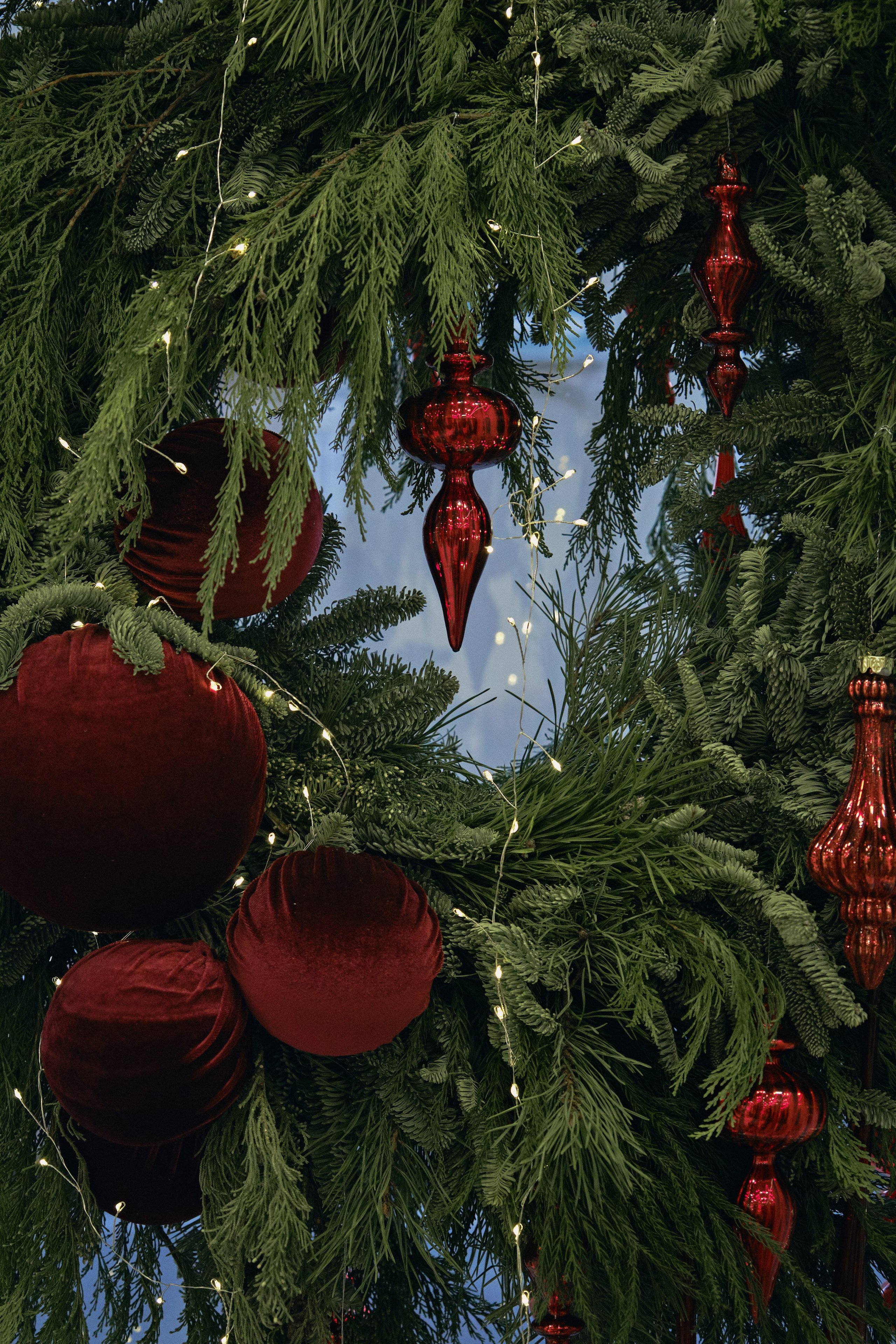 Тисс 2025. Ксения Почтарь. Декоратор и флорист, город Владивосток