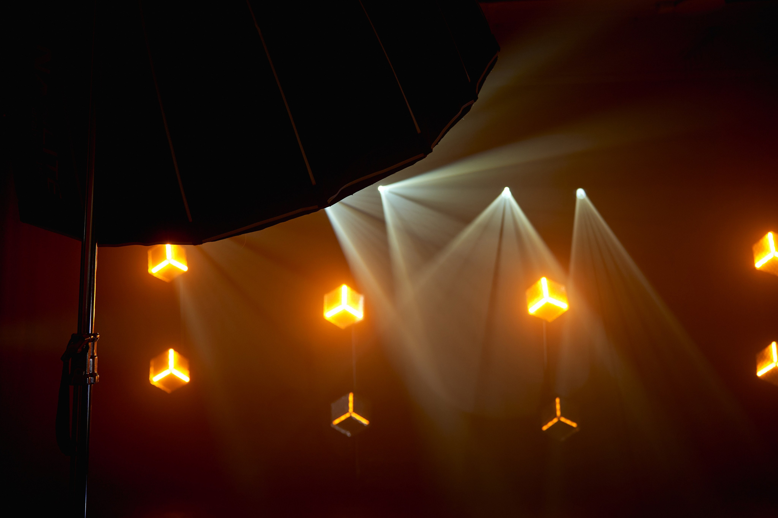 ТВИНС СТУДИО — лучшие фотографы и операторы Краснодара и России. ТВИНС СТУДИО — лучшие свадебные фотографы и видеографы в Краснодаре