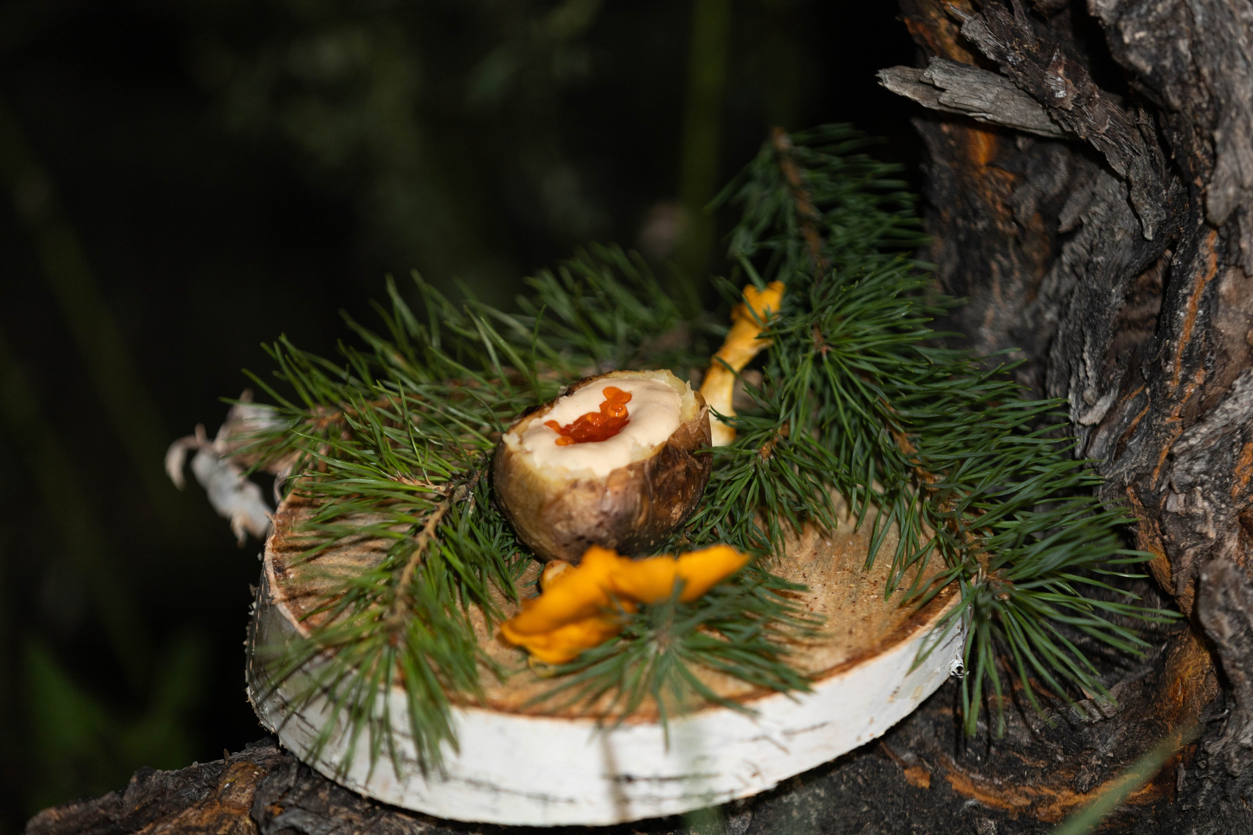 Выездной ресторан лучших 8 Шеф-поваров со всего Иркутска. Репортажный фотограф в Иркутске — Ярослав Ковалёв