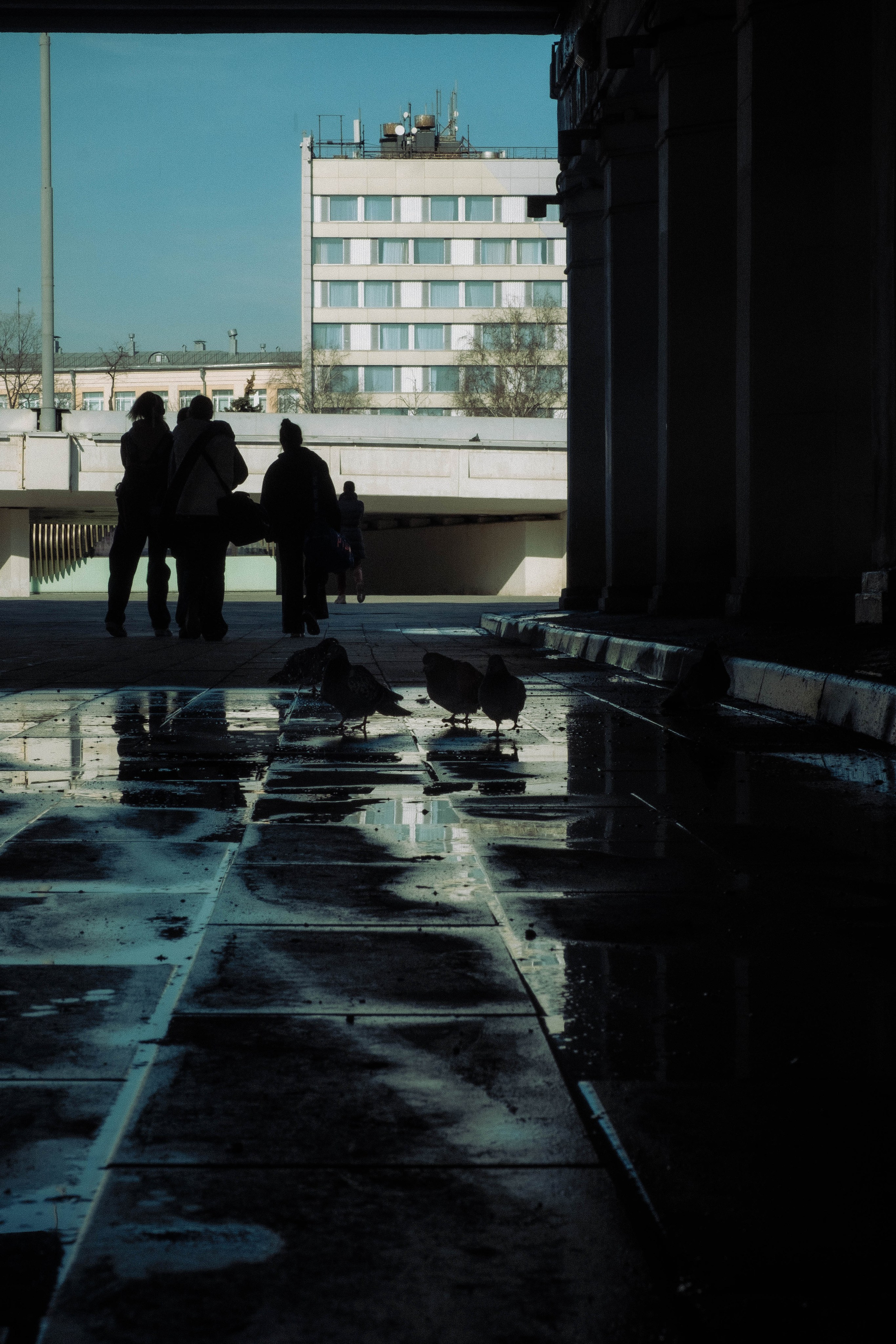 Лужники. Алексей Никифоров фотограф Москва, Химки