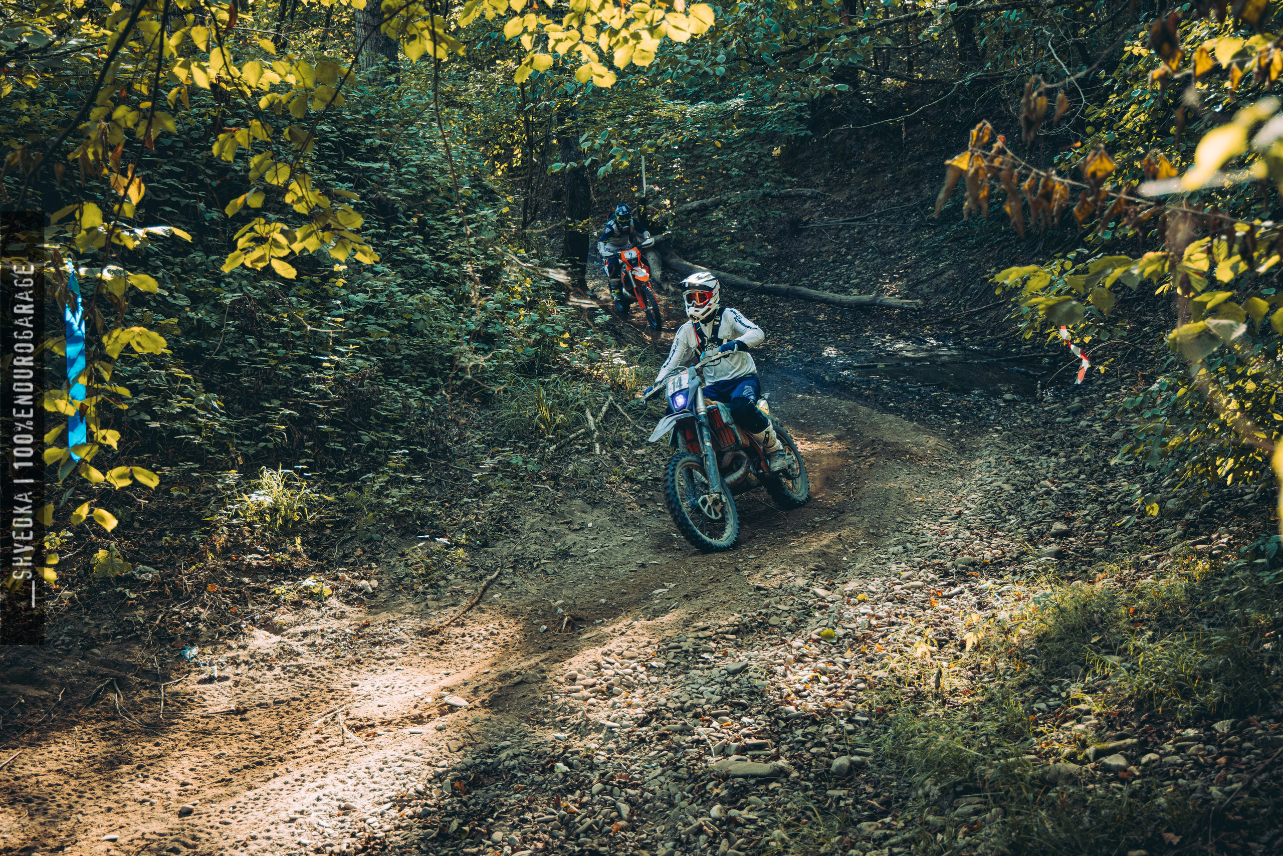 2 лесной день. Ваш экстрим фотограф Кудрева Яна