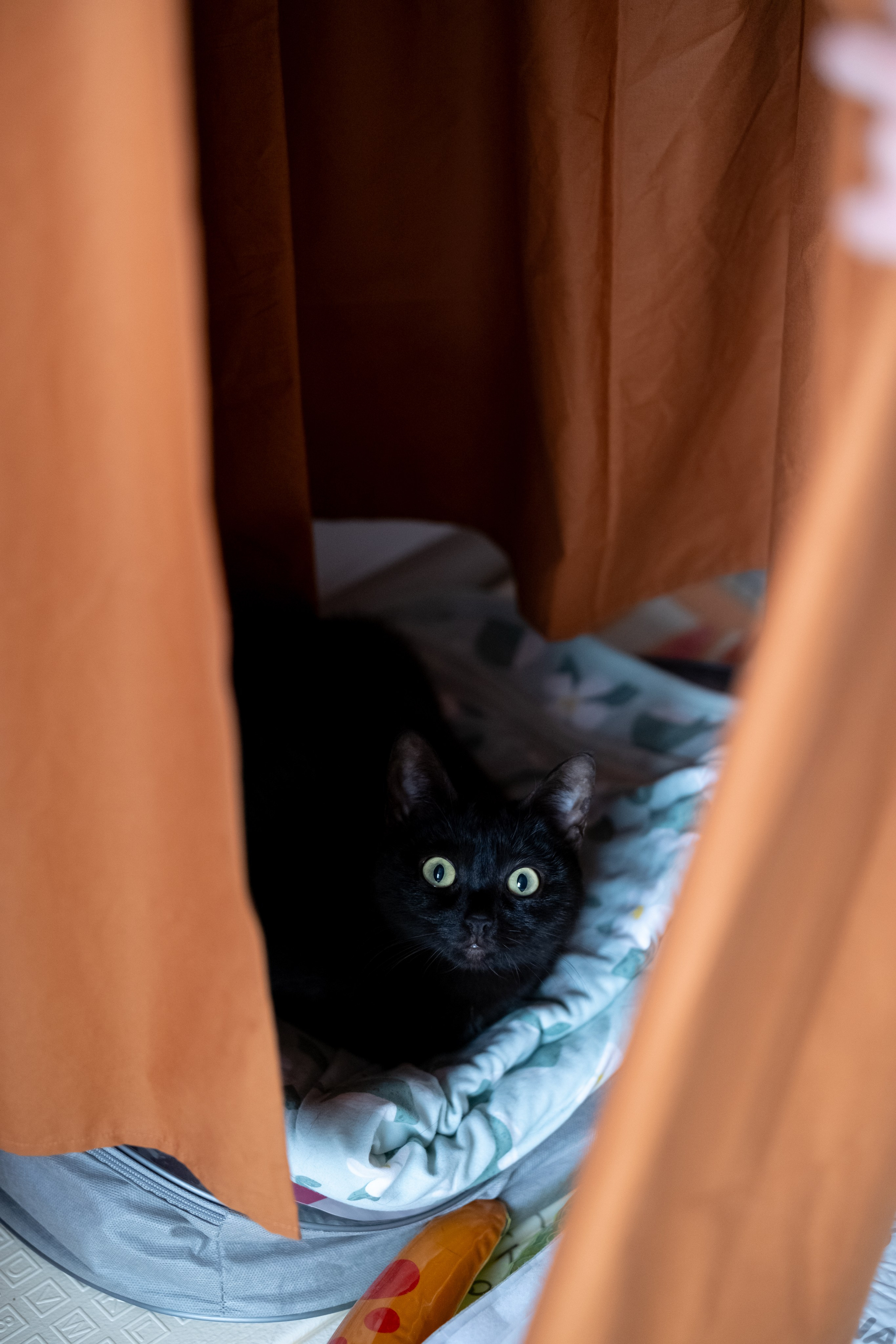 Виталине 2 месяца. Семейный и детский фотограф в Москве Светлана Потемкина