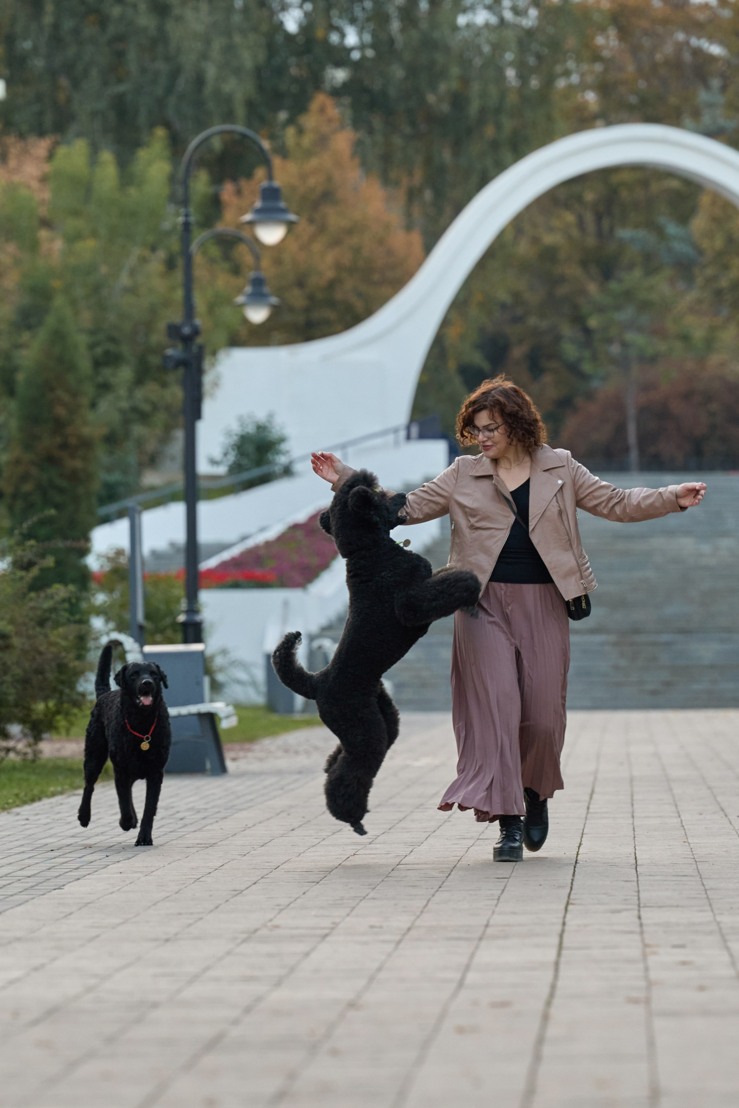 Альбина. Марфа и Мистик. Прогулка в парке. Фотограф анималист в Казани Алина Сулейманова. Фотограф животных