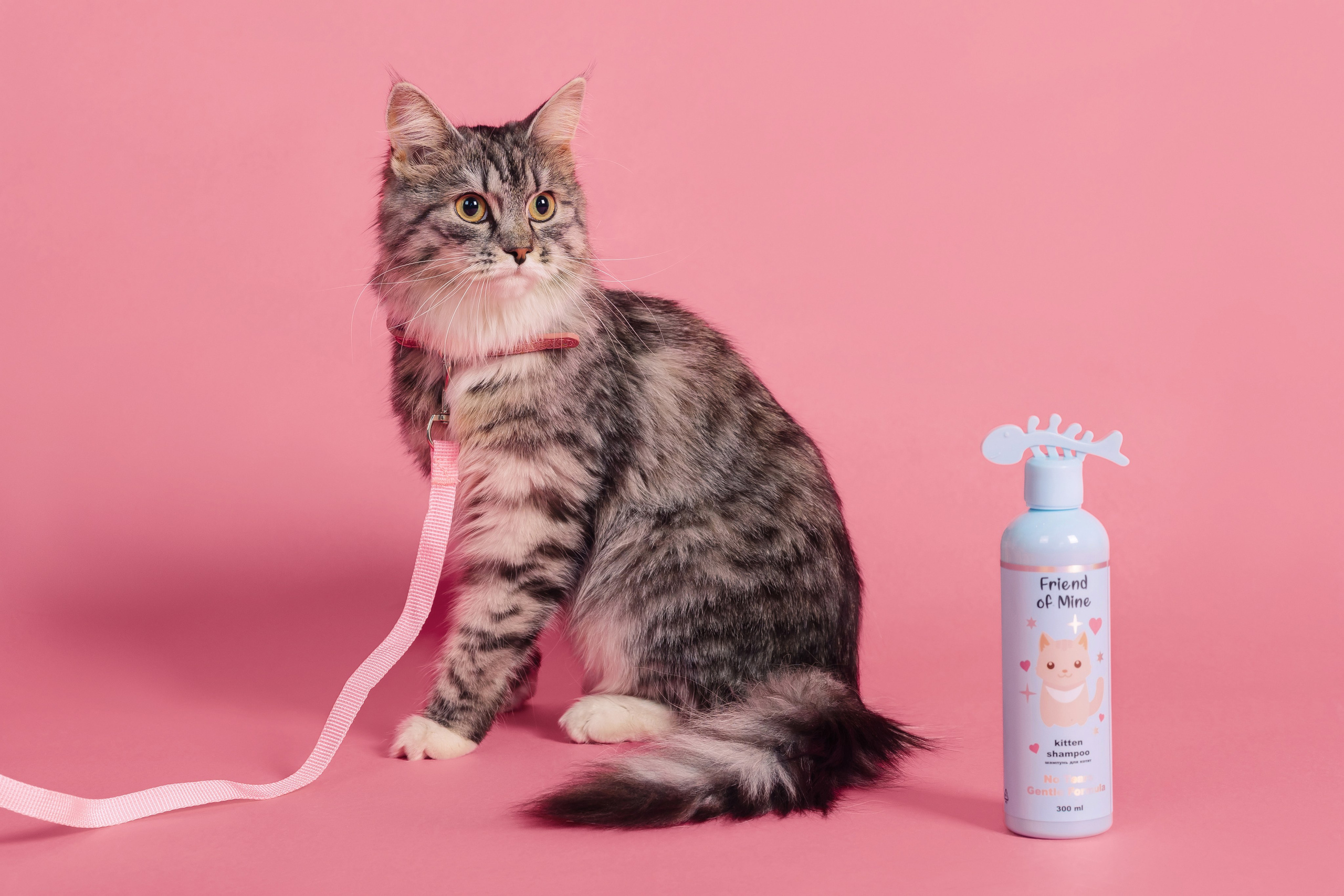 Магазин Friend of mine. Фотограф-анималист Елена Радченко, Москва