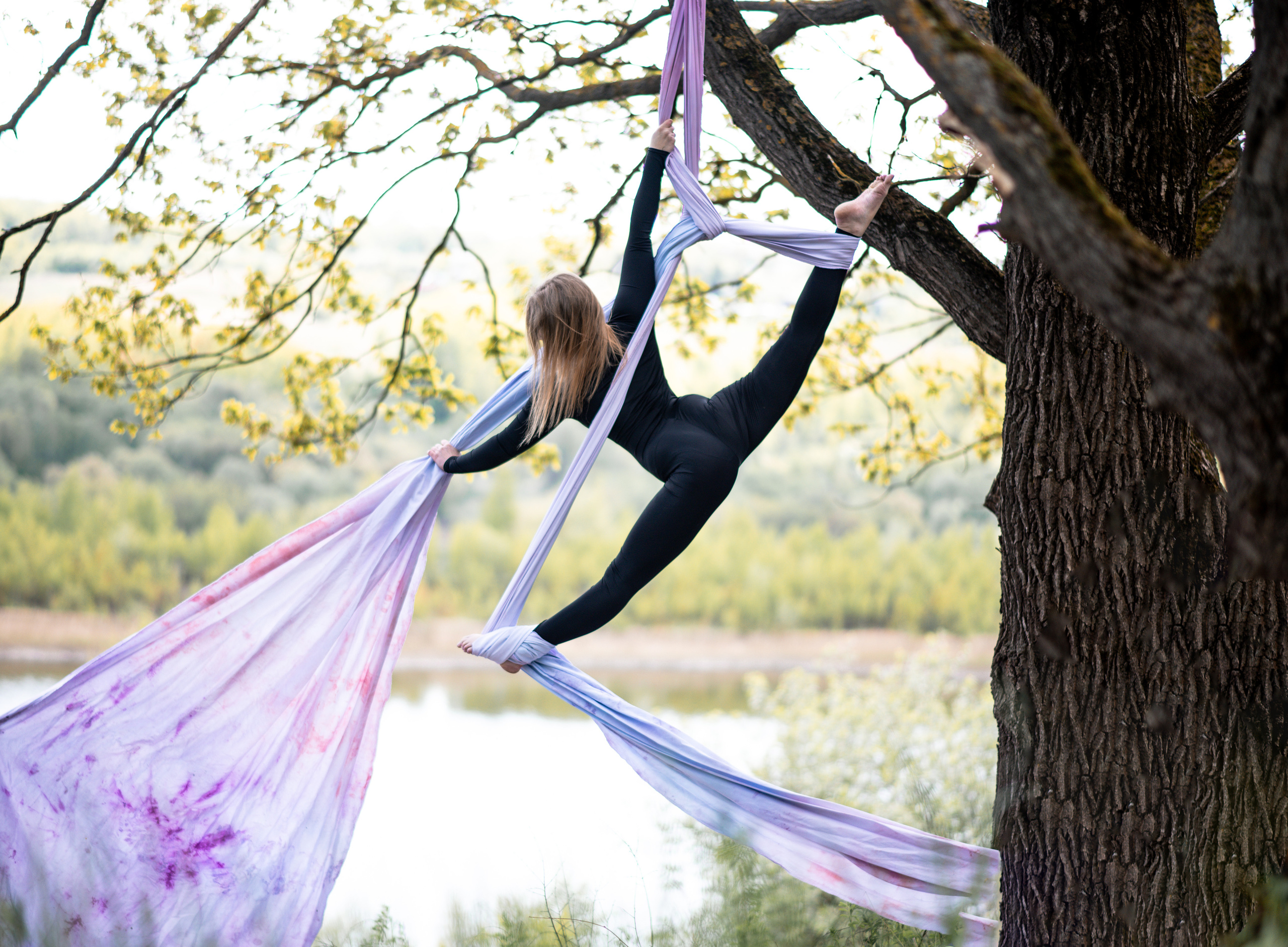 Полотно. Лес. Спортивный фотограф в Туле и Тульской области. Файсханова Фото Спорт