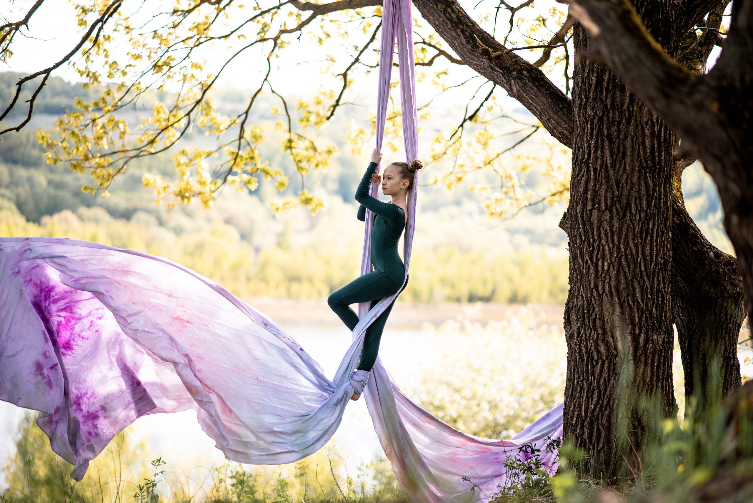 Полотно. Лес. Спортивный фотограф в Туле и Тульской области. Файсханова Фото Спорт