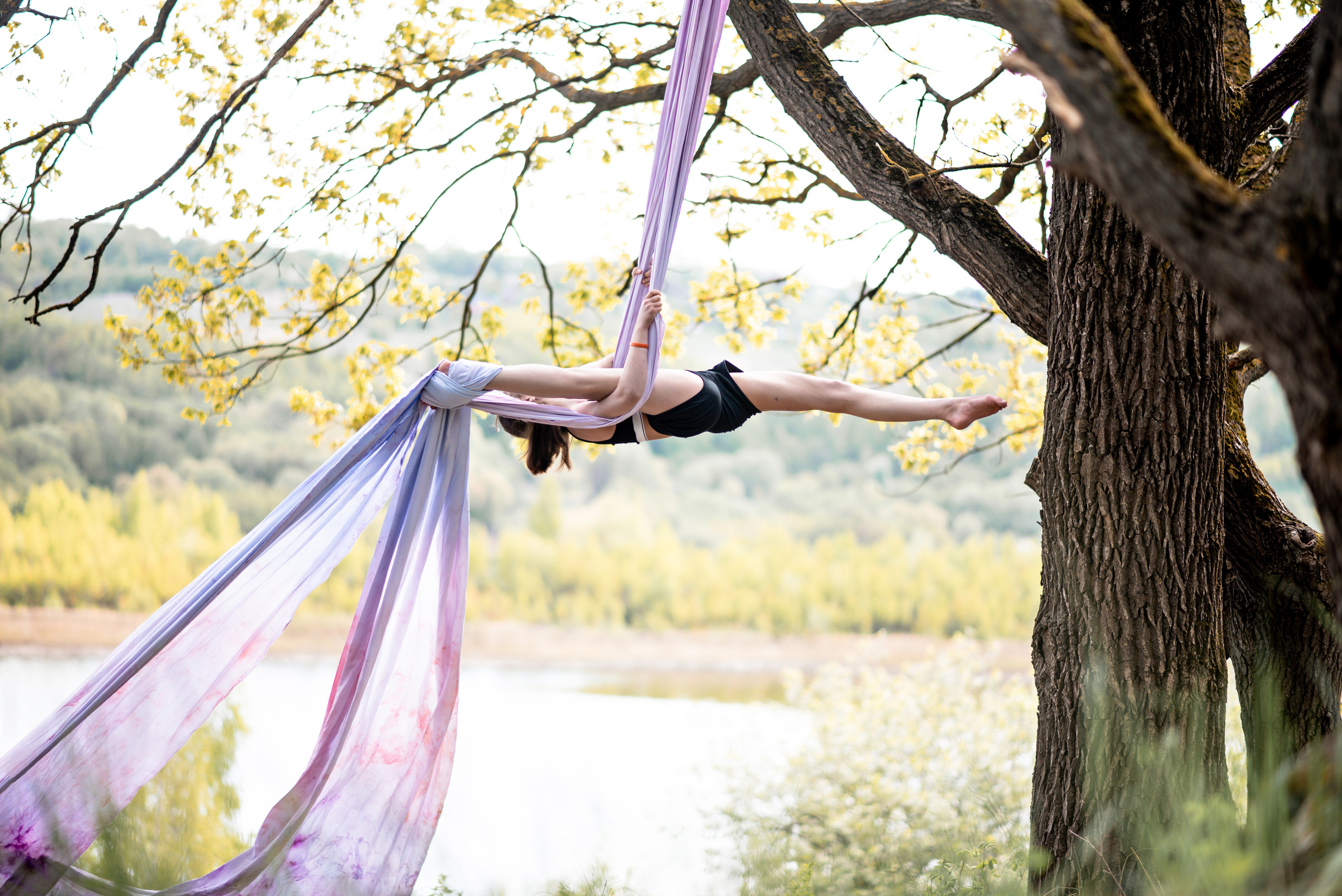 Полотно. Лес. Спортивный фотограф в Туле и Тульской области. Файсханова Фото Спорт