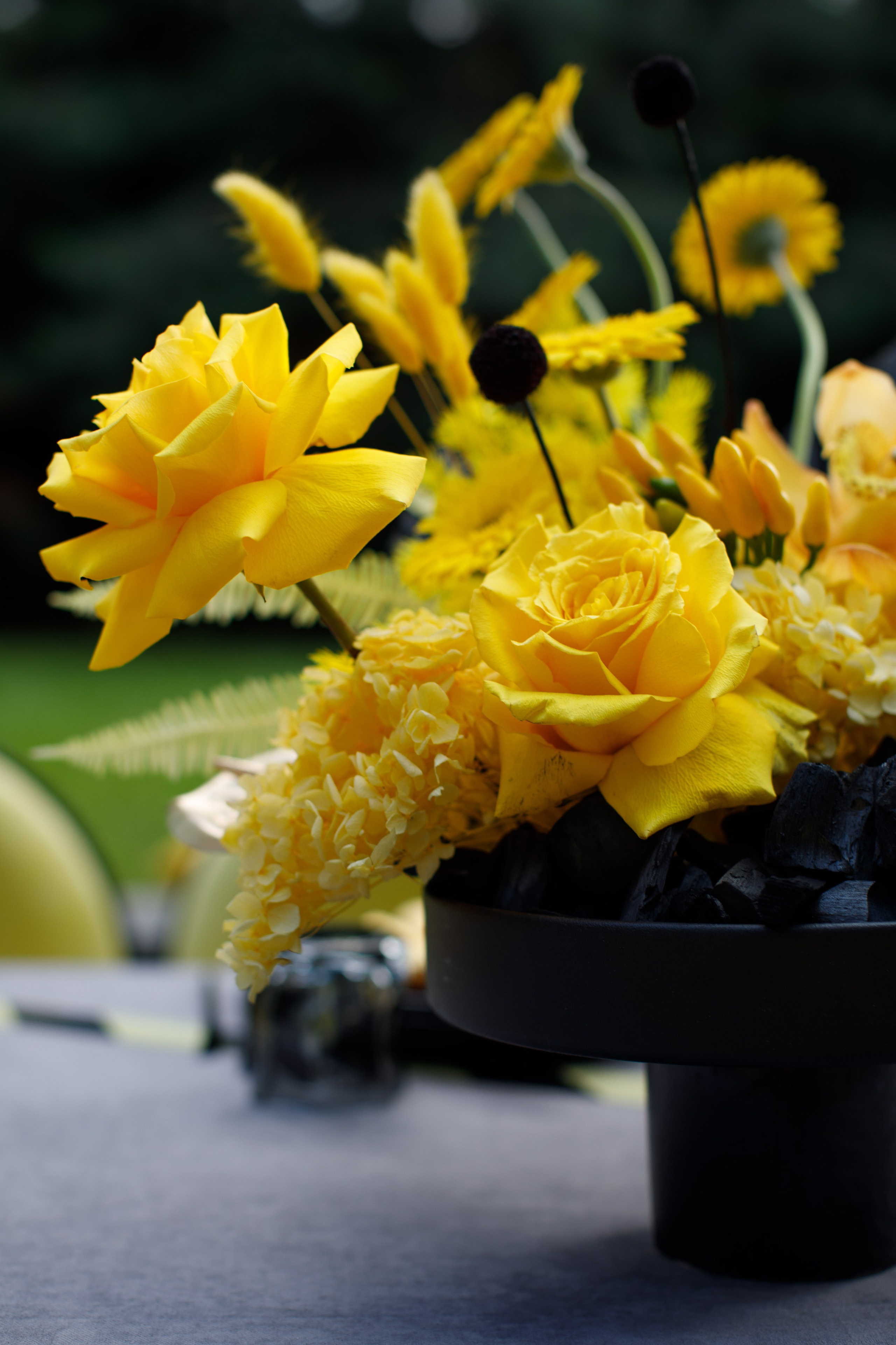 Разрушители | 18.08.2025 | г. Москва. МашаШарики | Декоратор | Москва