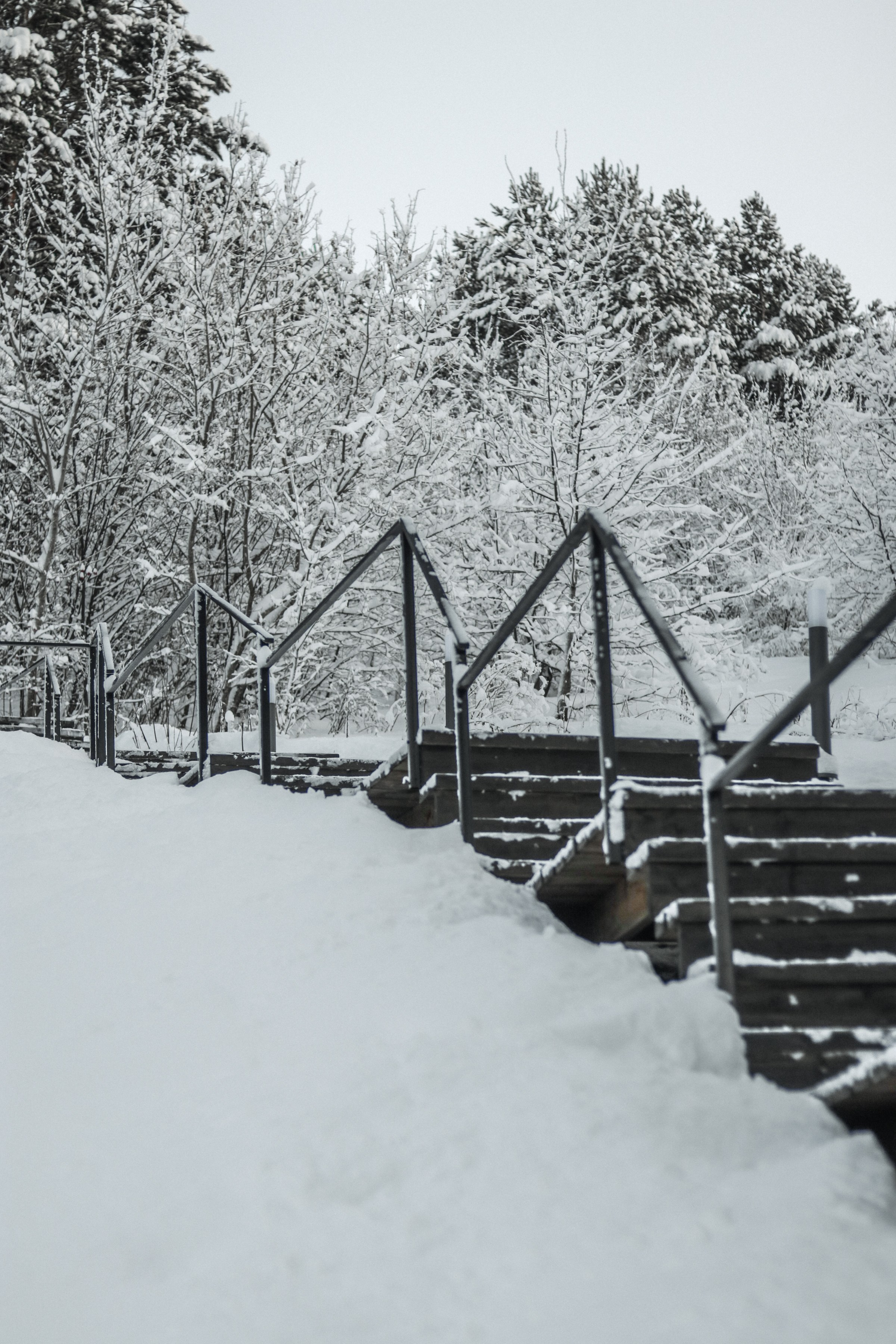 «Белкин дом» глэмпинг, г. Белокуриха. Контент фотограф Дмитрий Борисов