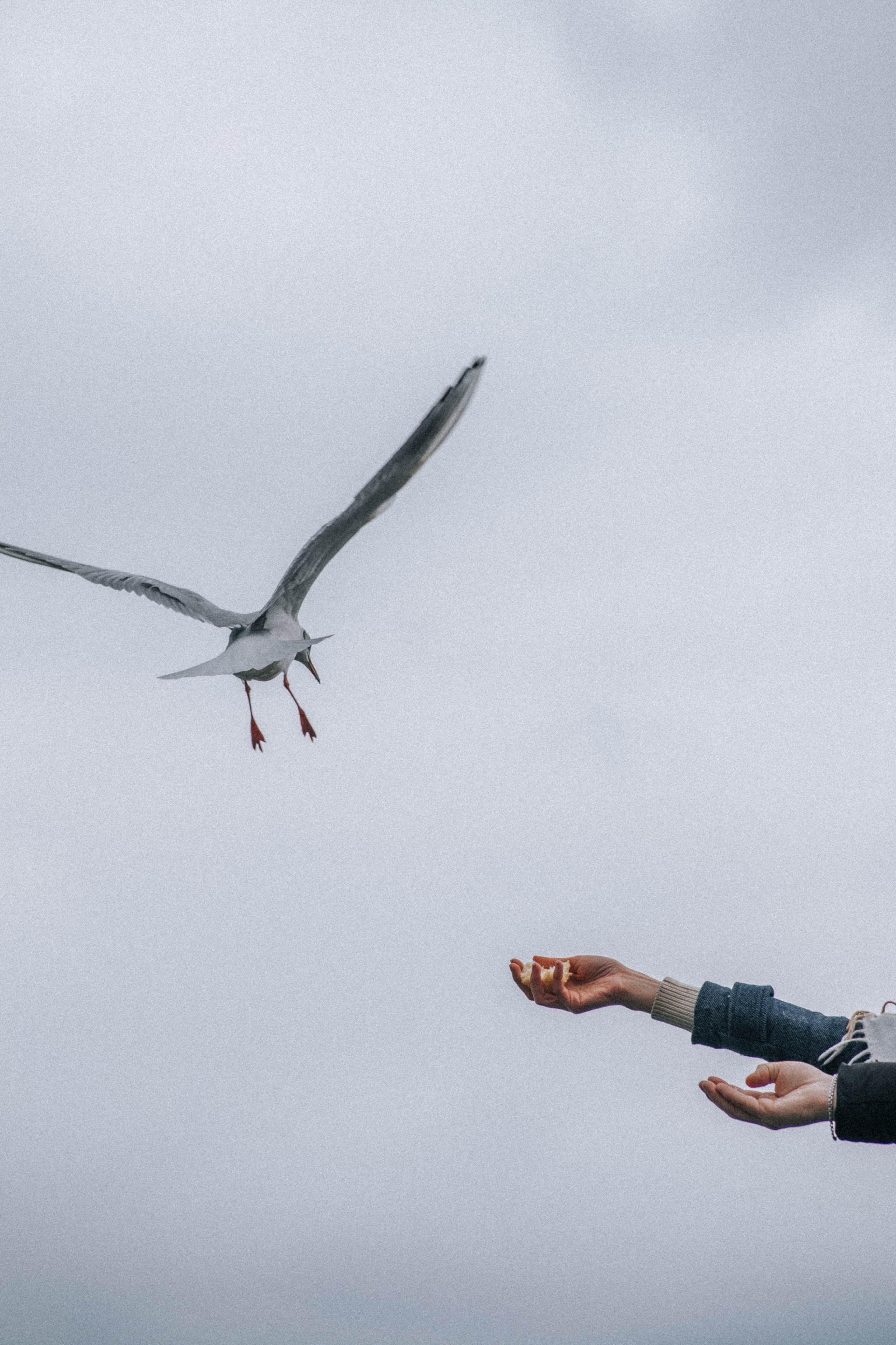 Фотограф Армавир. Фотограф Сочи. Фотограф Туапсе. Фотосессия на море. Фотосессия на побережье. Пара на море. Lovestory на море. Морские прогулки. Выездной фотограф.