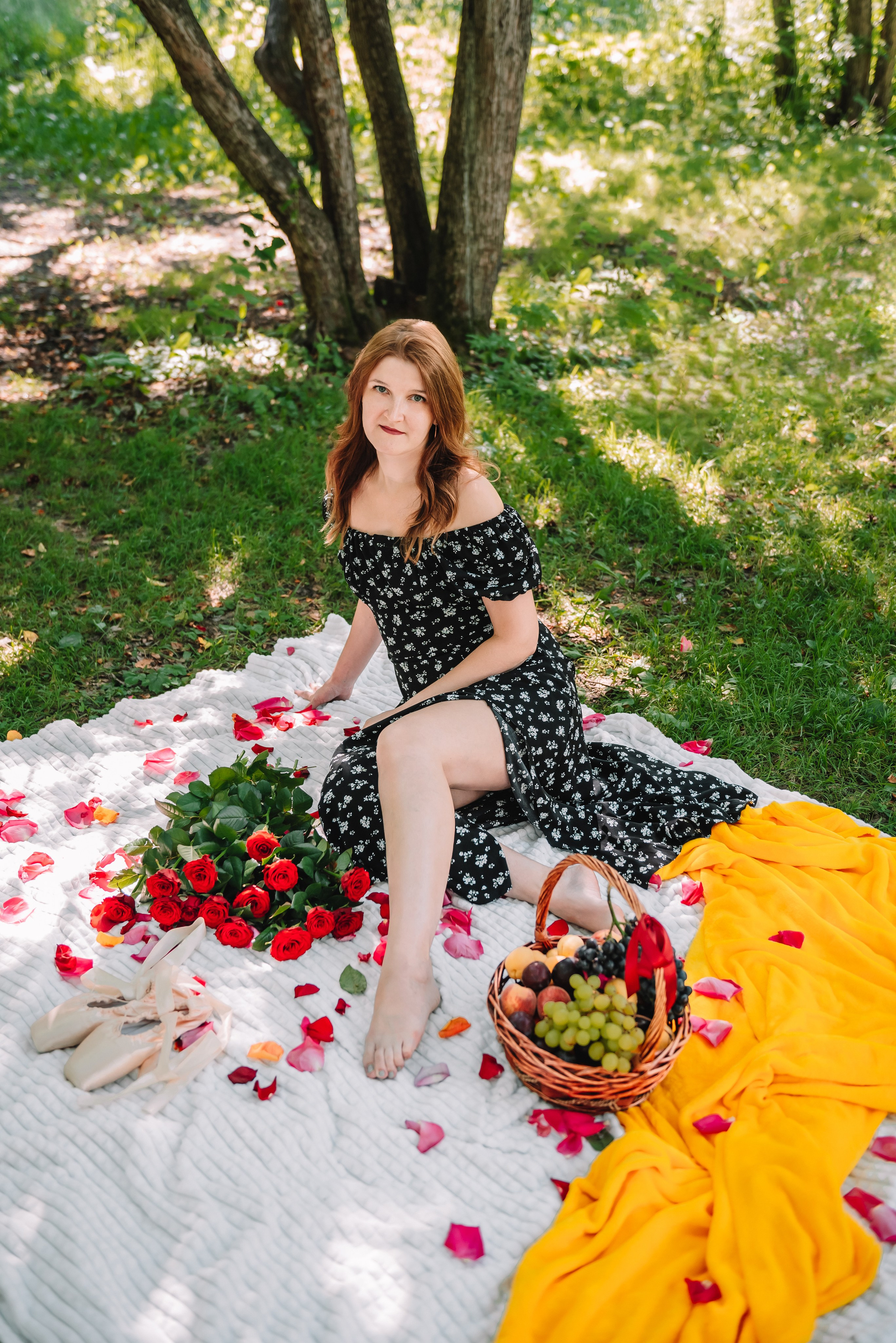 LEVITA (пикник)