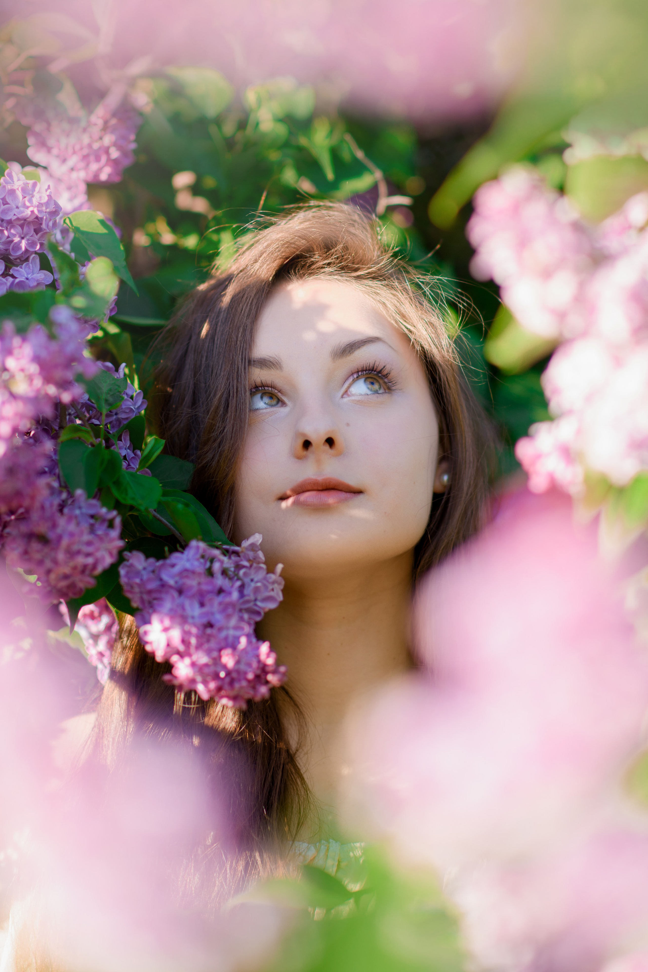 Фотосессия в сиреневом саду. Главная