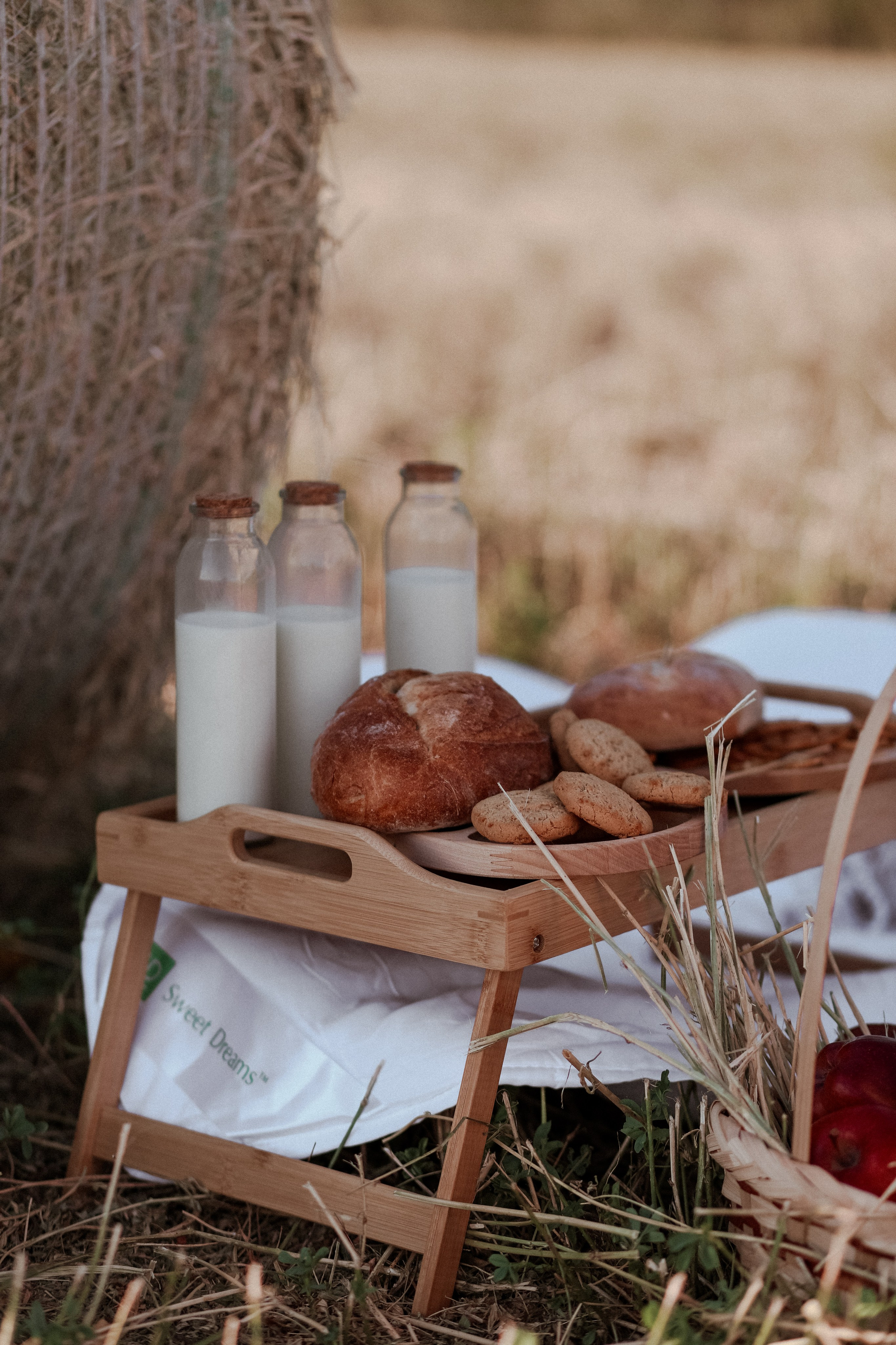 Montus. О фотографии с душой