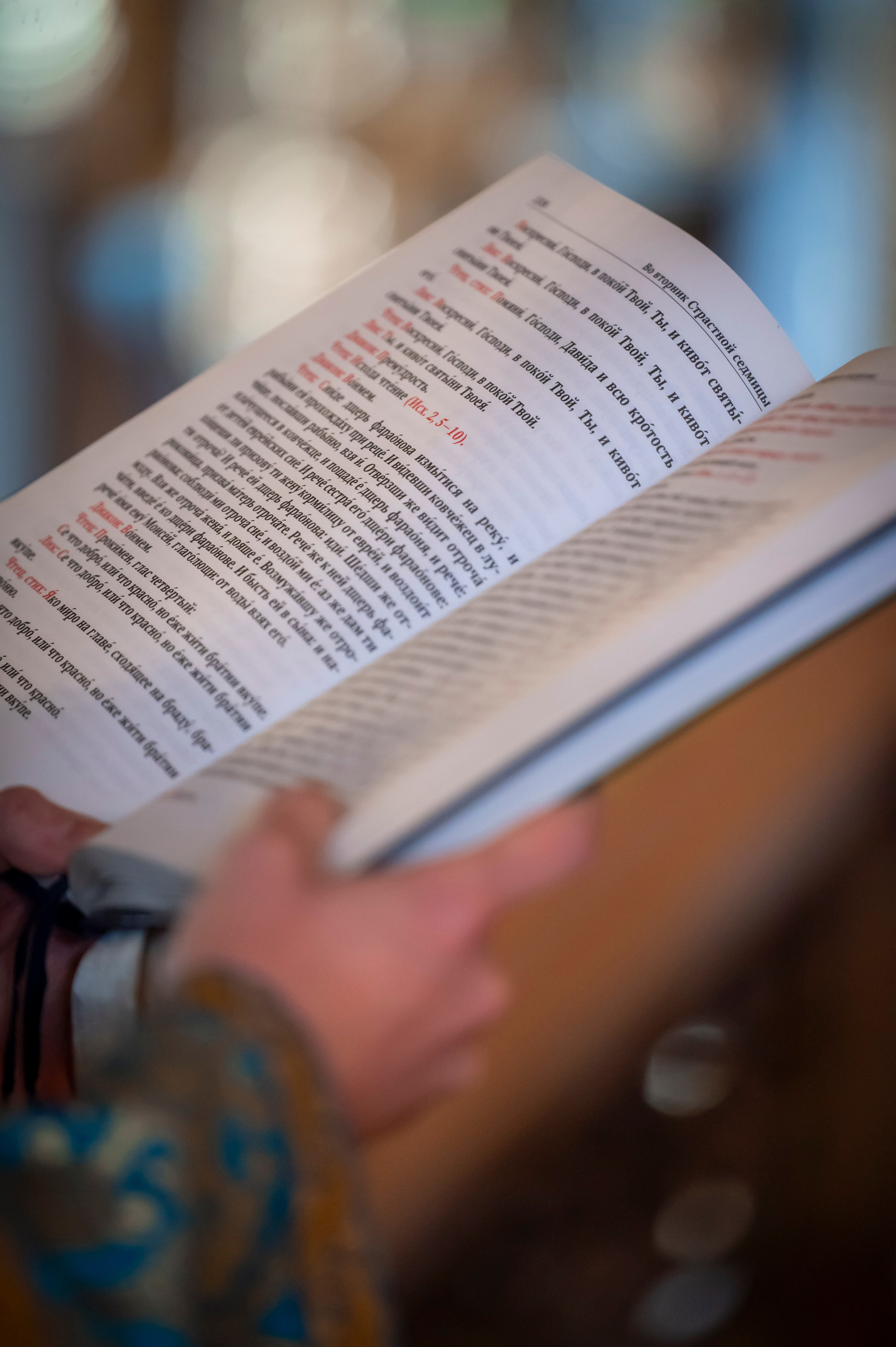 Богородский храм. Благовещение. Божественная Литургия. Антон и Татьяна Денисенко — В храме