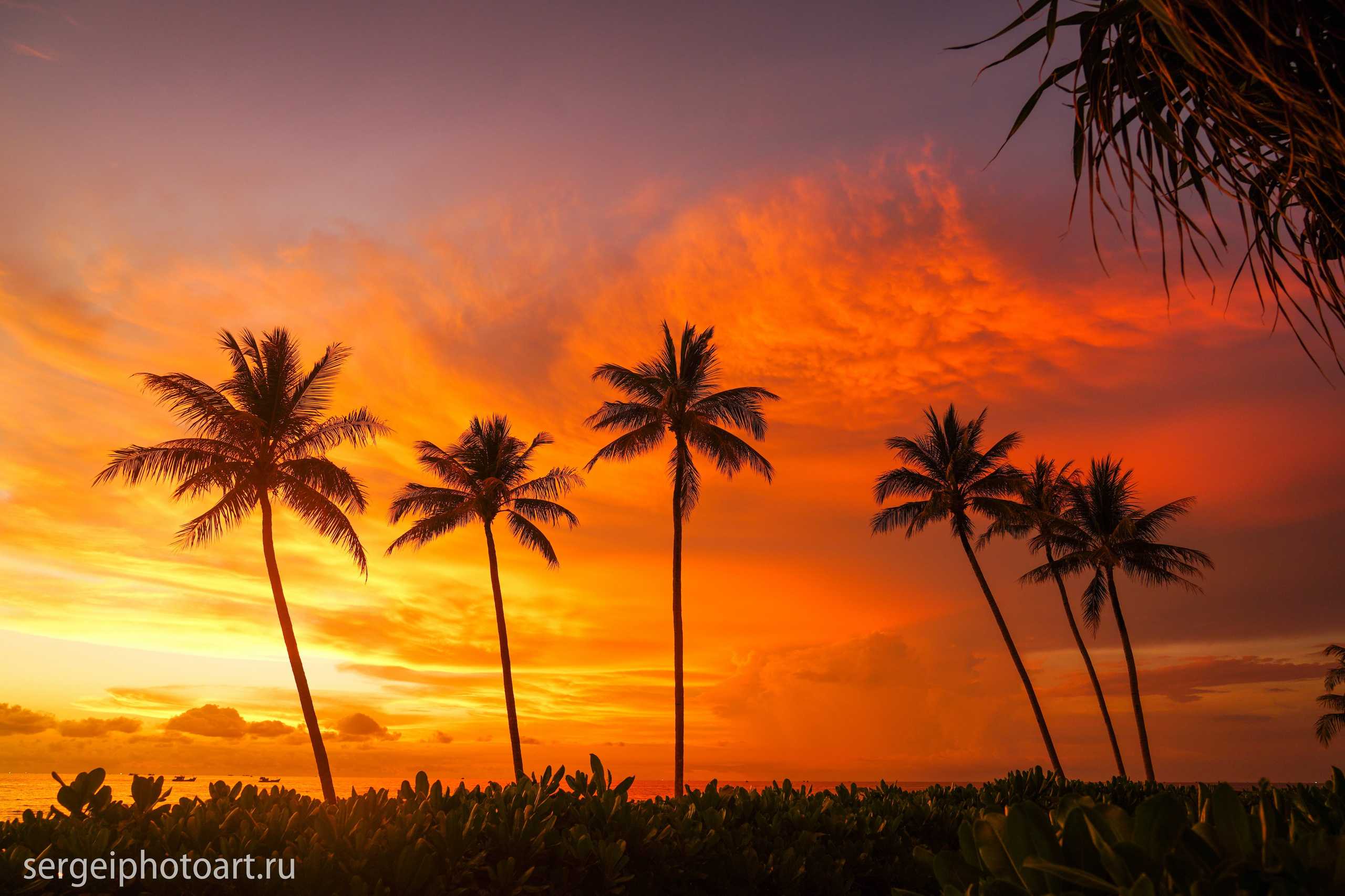 Остров Фукуок, Вьетнам. Фотограф Сергей Кишкель Дананг Нячанг Фукуок