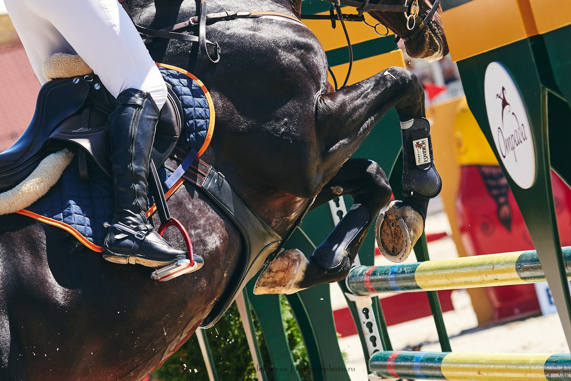 CSI2*-W/CH-B/J-B/YH1*, КСК Отрада | 06'2021. Репортажный фотограф и ретушер в Москве Наталья Алексеева