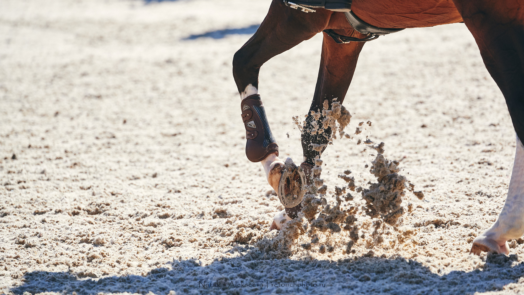CSI2*-W/CH-B/J-B/YH1*, КСК Отрада | 06'2021. Репортажный фотограф и ретушер в Москве Наталья Алексеева