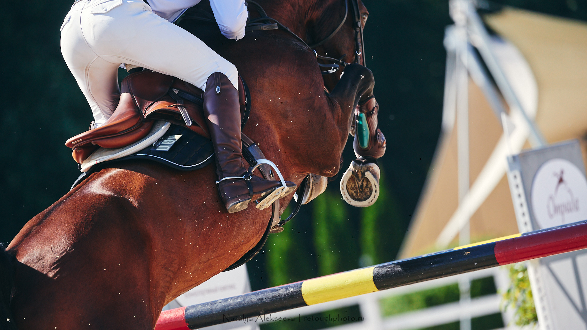 CSI2*-W/CH-B/J-B/YH1*, КСК Отрада | 06'2021. Репортажный фотограф и ретушер в Москве Наталья Алексеева