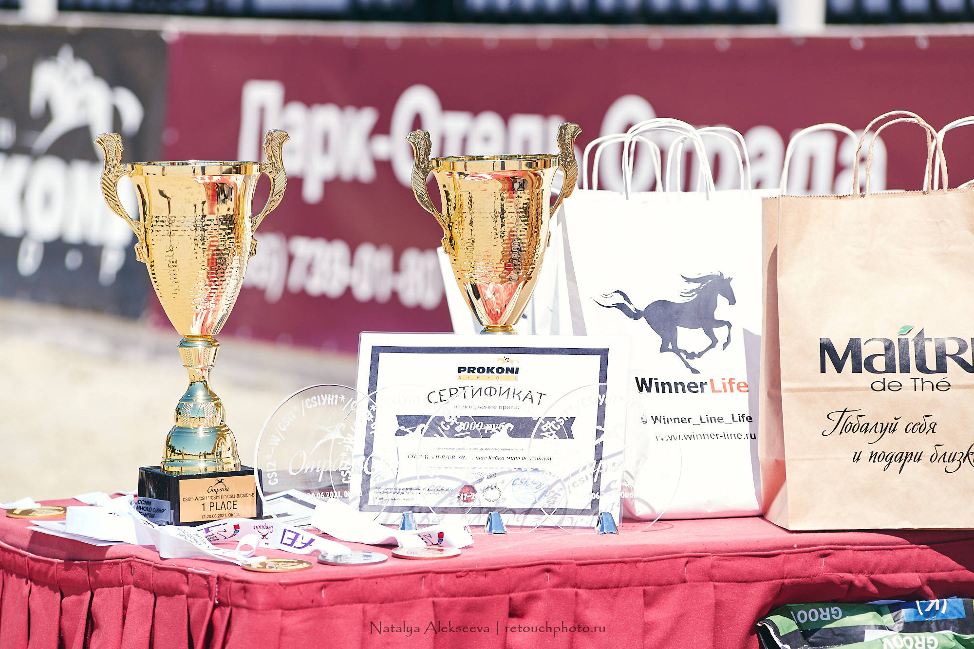 CSI2*-W/CH-B/J-B/YH1*, КСК Отрада | 06'2021. Репортажный фотограф и ретушер в Москве Наталья Алексеева