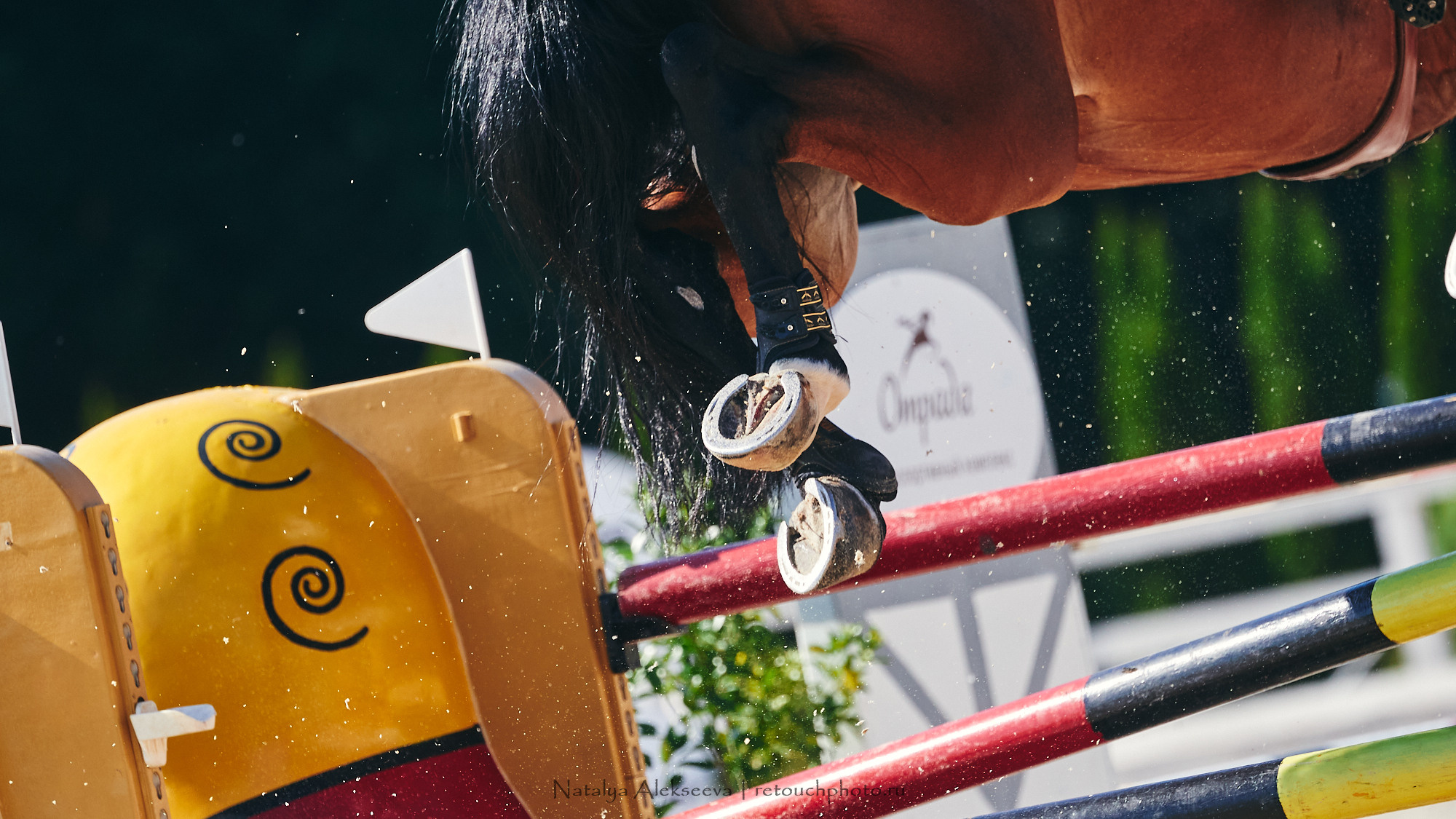 CSI2*-W/CH-B/J-B/YH1*, КСК Отрада | 06'2021. Репортажный фотограф и ретушер в Москве Наталья Алексеева