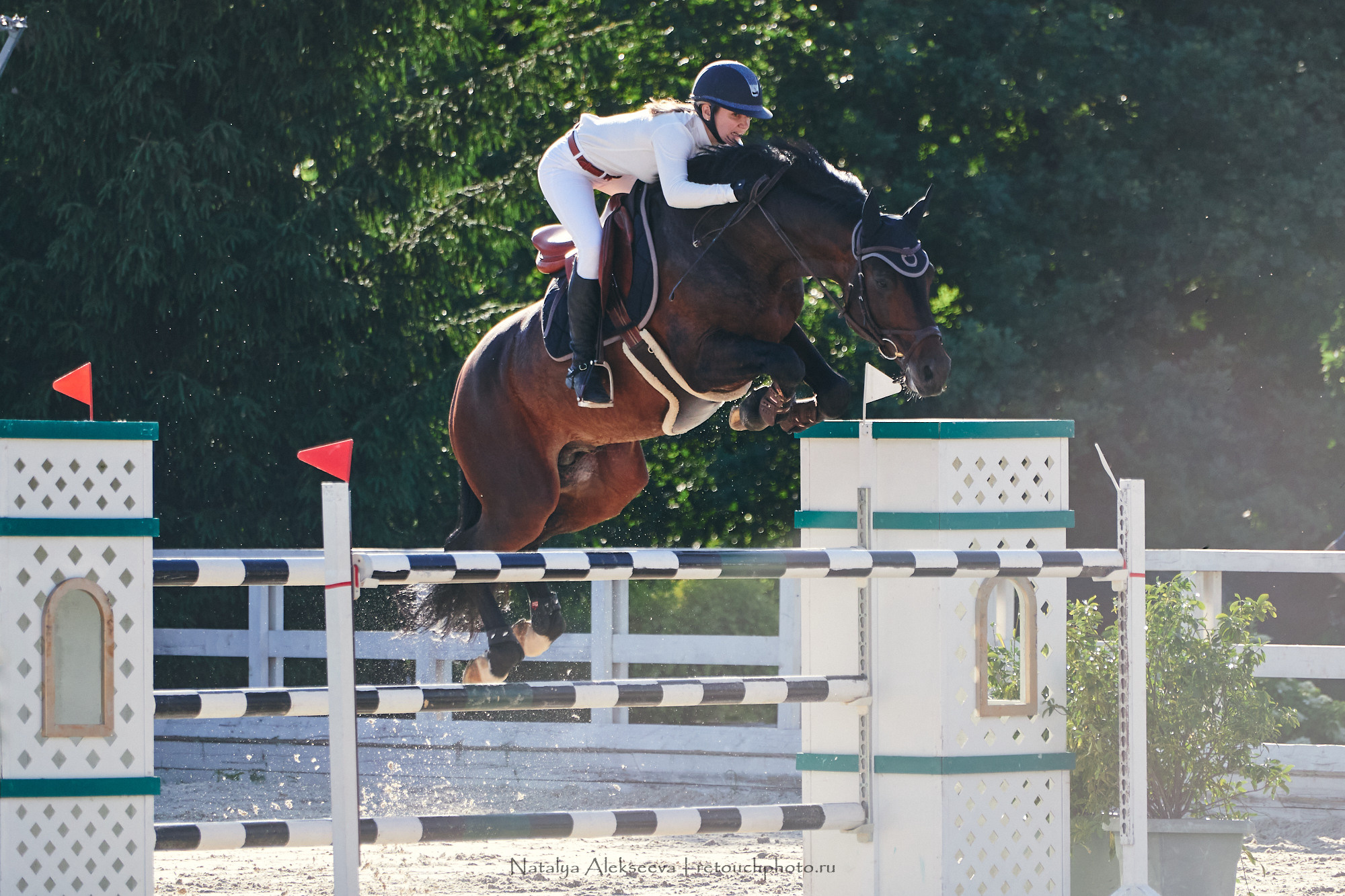 CSI2*-W/CH-B/J-B/YH1*, КСК Отрада | 06'2021. Репортажный фотограф и ретушер в Москве Наталья Алексеева