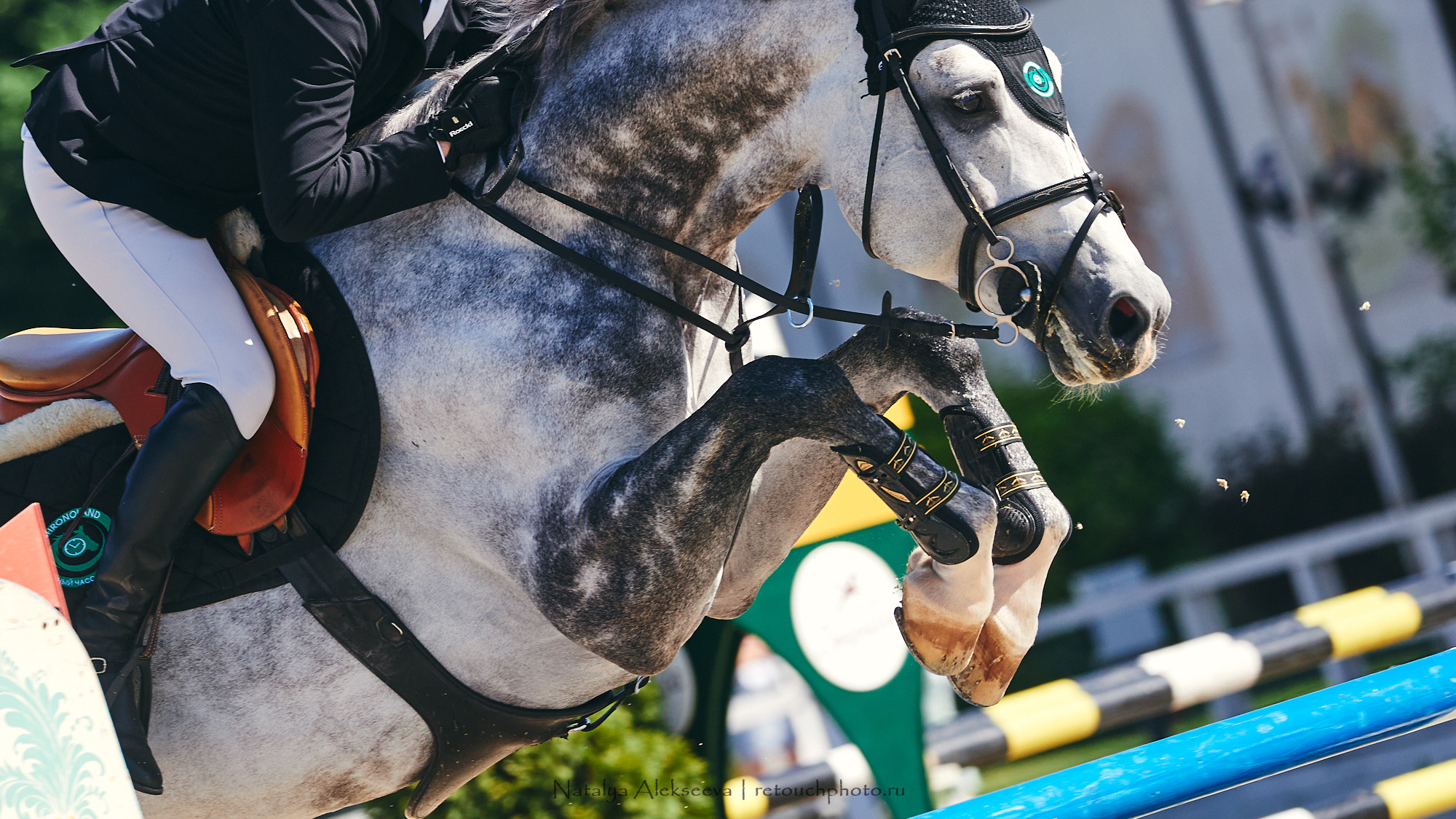 CSI2*-W/CH-B/J-B/YH1*, КСК Отрада | 06'2021. Репортажный фотограф и ретушер в Москве Наталья Алексеева