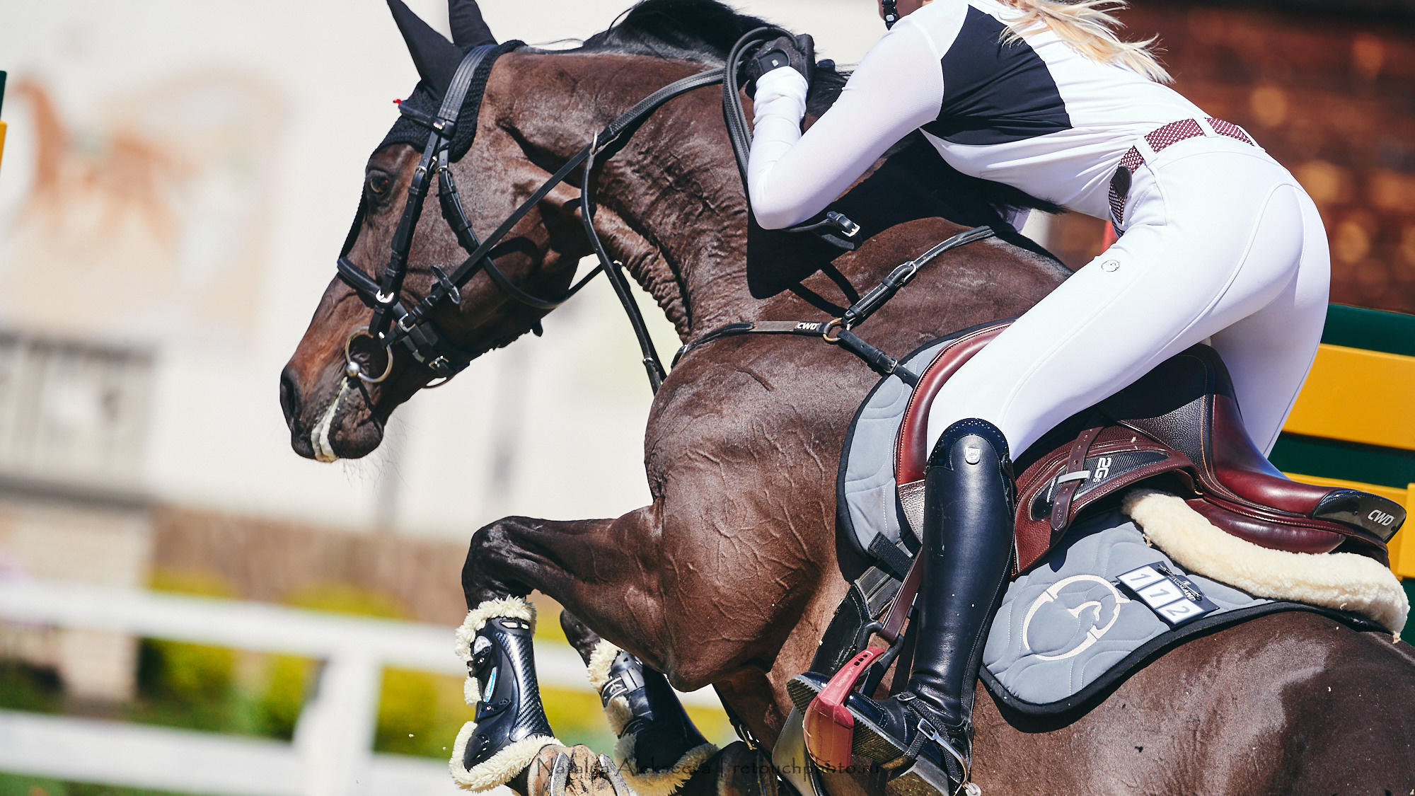 CSI2*-W/CH-B/J-B/YH1*, КСК Отрада | 06'2021. Репортажный фотограф и ретушер в Москве Наталья Алексеева