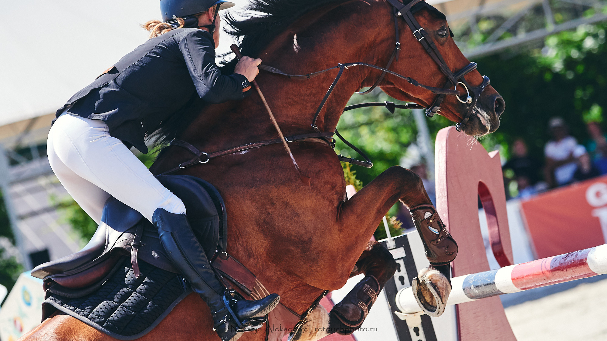 CSI2*-W/CH-B/J-B/YH1*, КСК Отрада | 06'2021. Репортажный фотограф и ретушер в Москве Наталья Алексеева