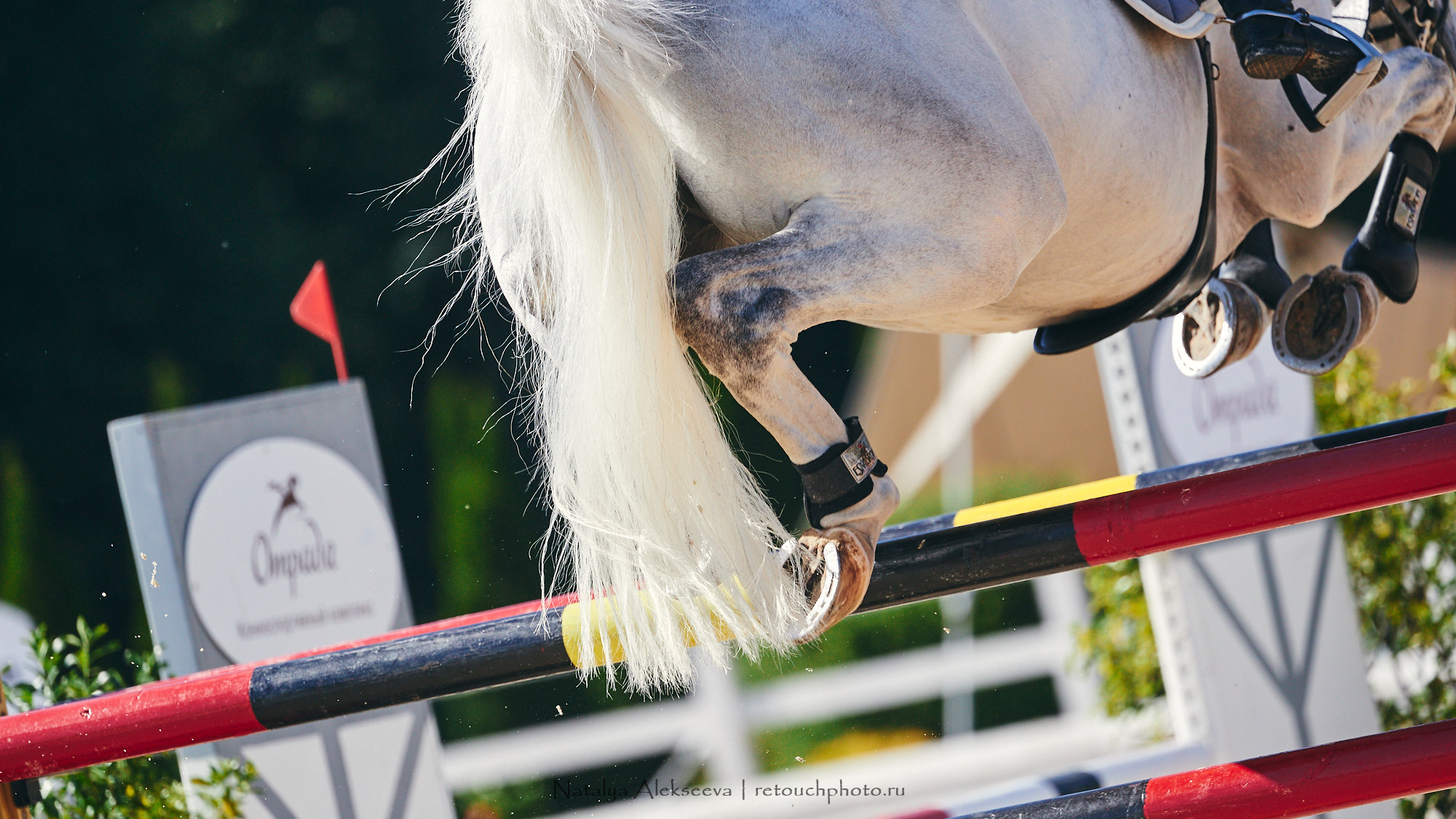 CSI2*-W/CH-B/J-B/YH1*, КСК Отрада | 06'2021. Репортажный фотограф и ретушер в Москве Наталья Алексеева