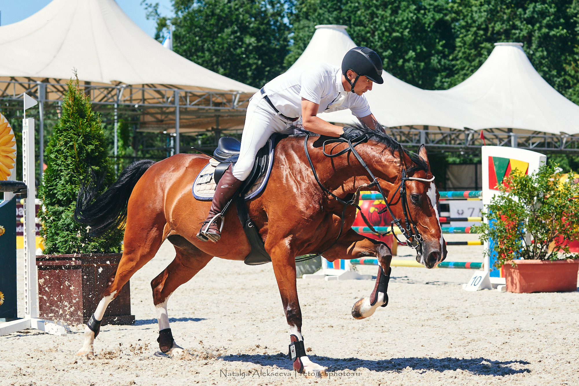 CSI2*-W/CH-B/J-B/YH1*, КСК Отрада | 06'2021. Репортажный фотограф и ретушер в Москве Наталья Алексеева