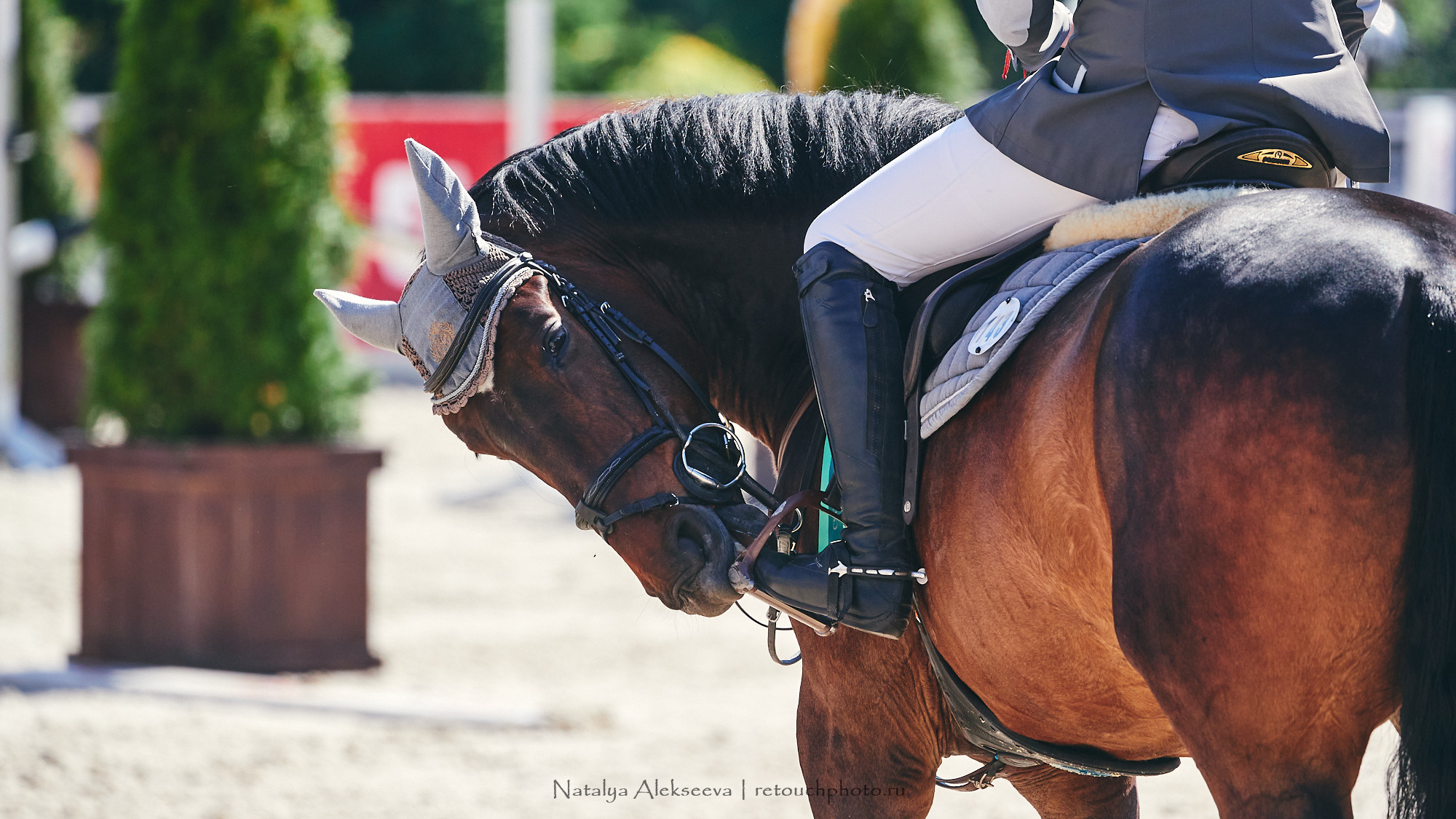 CSI2*-W/CH-B/J-B/YH1*, КСК Отрада | 06'2021. Репортажный фотограф и ретушер в Москве Наталья Алексеева