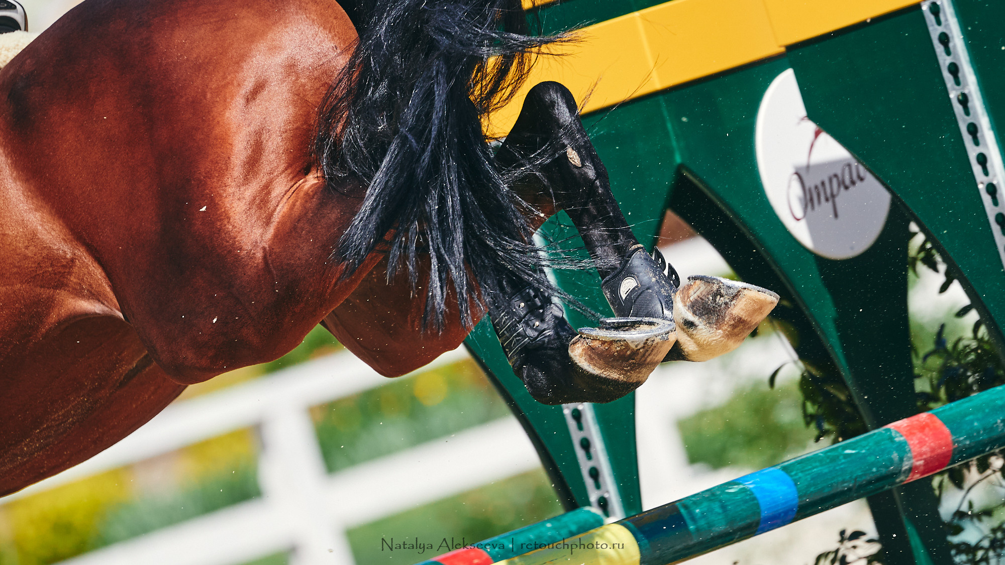 CSI2*-W/CH-B/J-B/YH1*, КСК Отрада | 06'2021. Репортажный фотограф и ретушер в Москве Наталья Алексеева