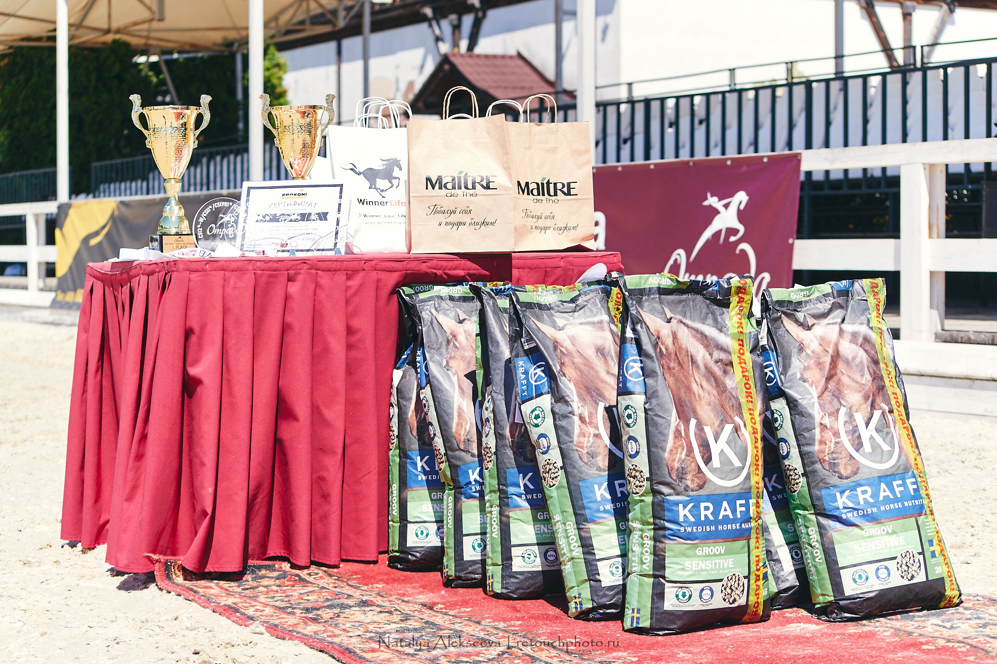 CSI2*-W/CH-B/J-B/YH1*, КСК Отрада | 06'2021. Репортажный фотограф и ретушер в Москве Наталья Алексеева