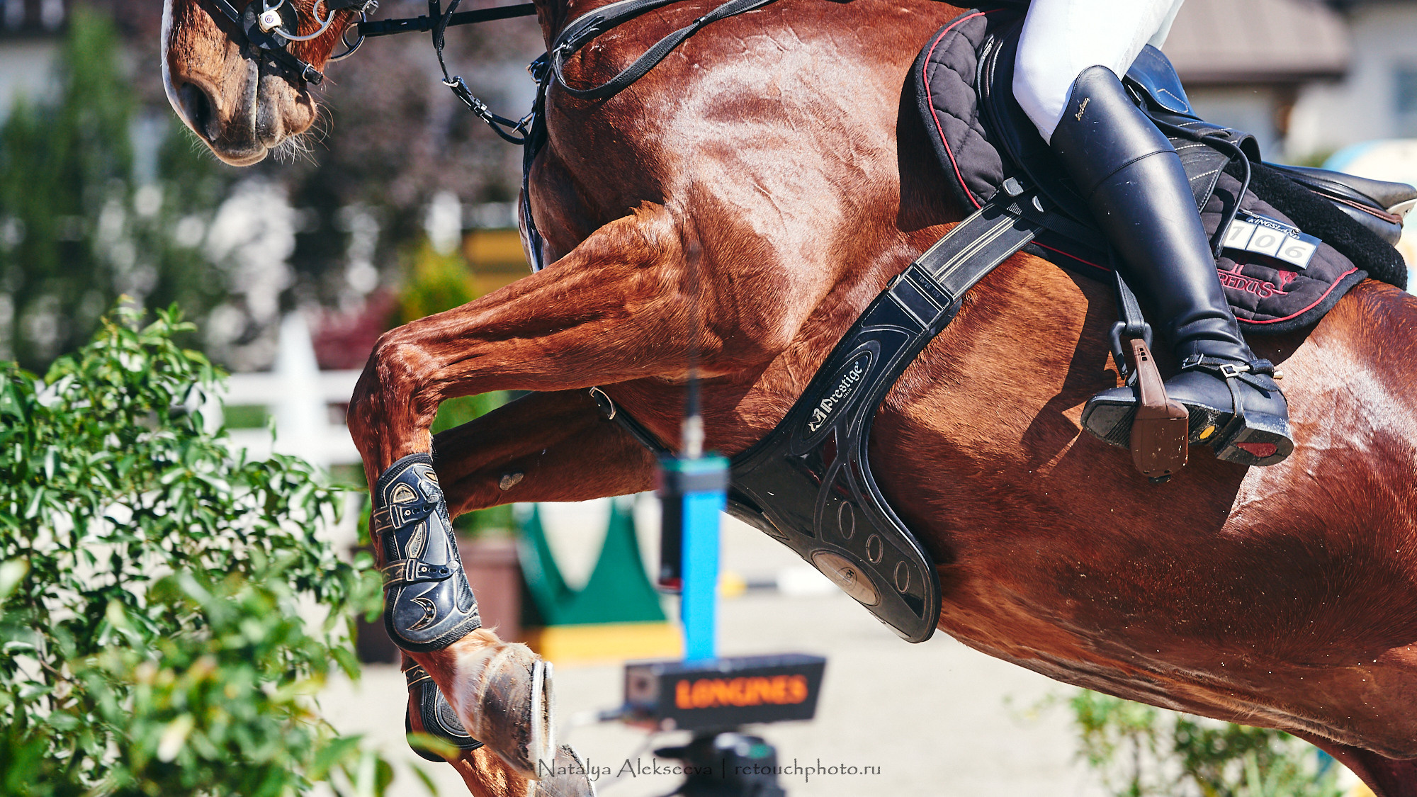 CSI2*-W/CH-B/J-B/YH1*, КСК Отрада | 06'2021. Репортажный фотограф и ретушер в Москве Наталья Алексеева