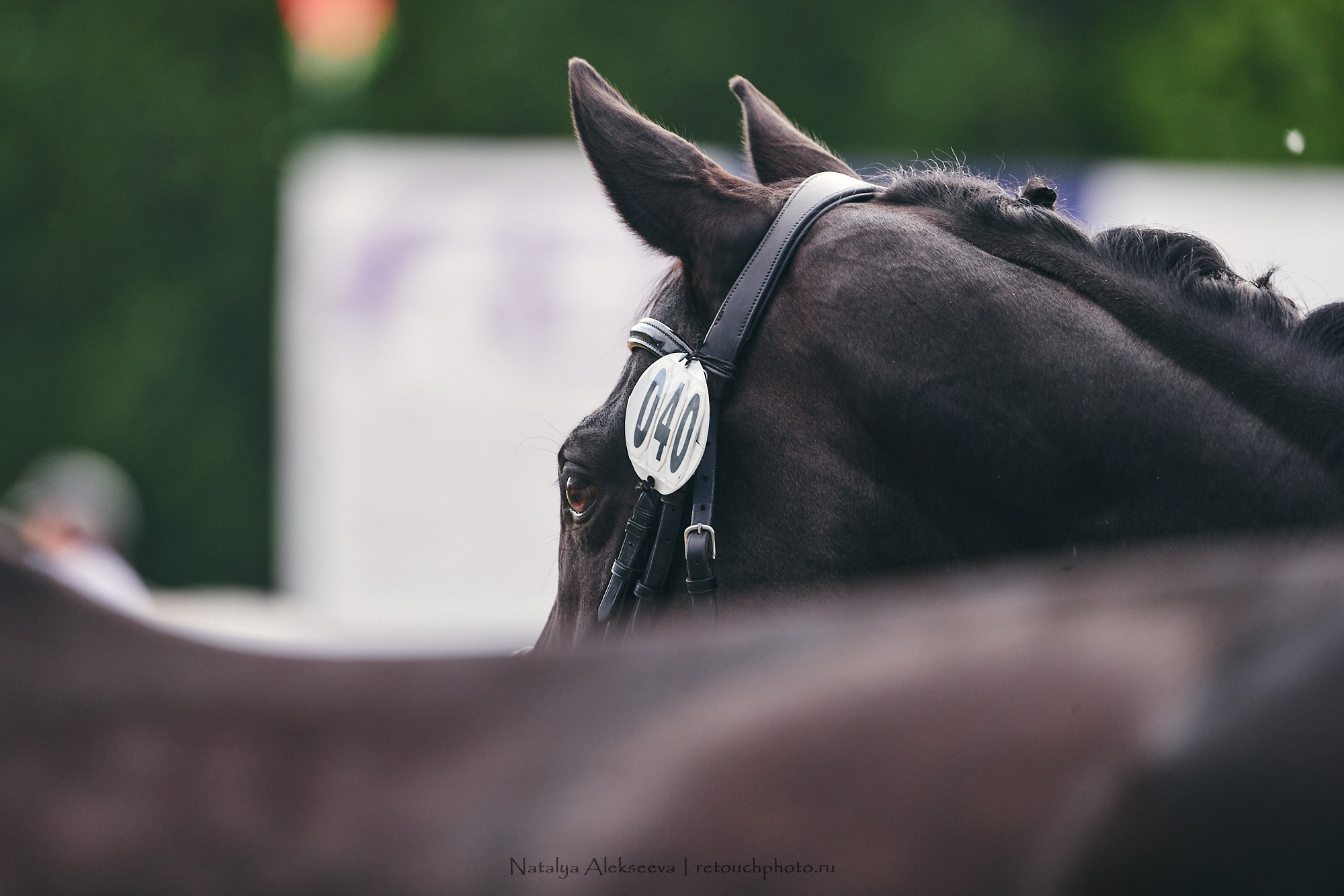 CDI-W/2*/J/Ch/P, КСК Пассаж | 06'2021. Репортажный фотограф и ретушер в Москве Наталья Алексеева